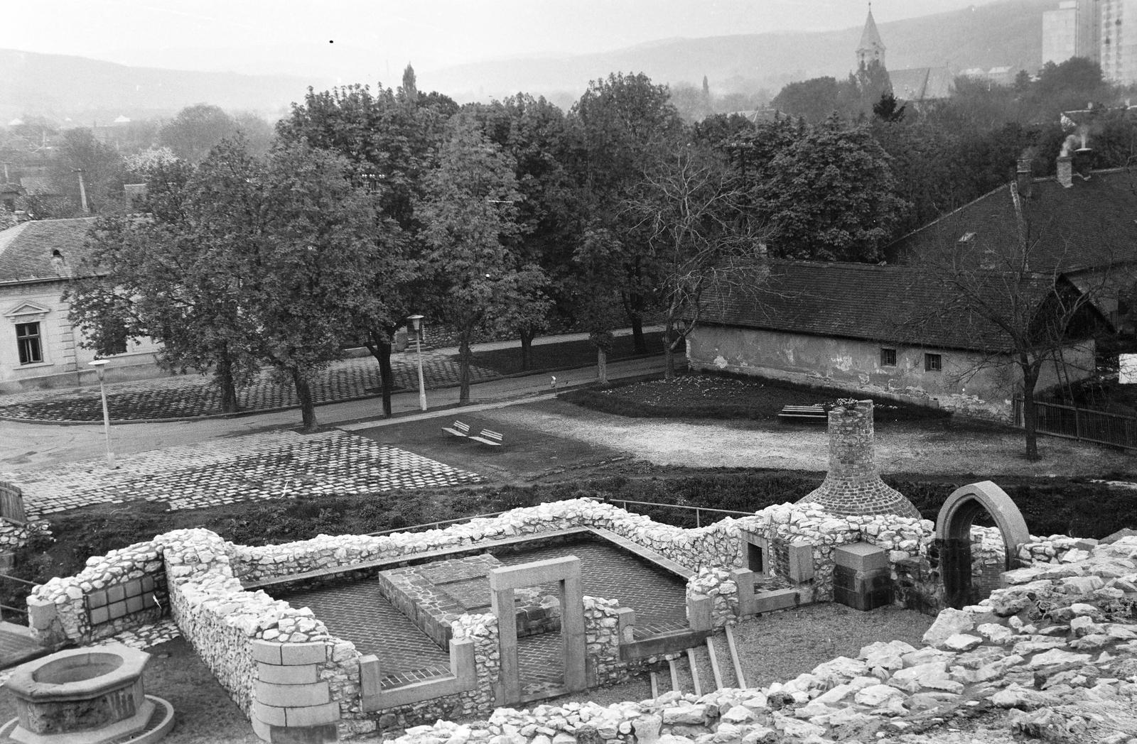 Magyarország, Miskolc,Diósgyőr, Vár., 1975, Gazda Anikó, rom, Fortepan #308144