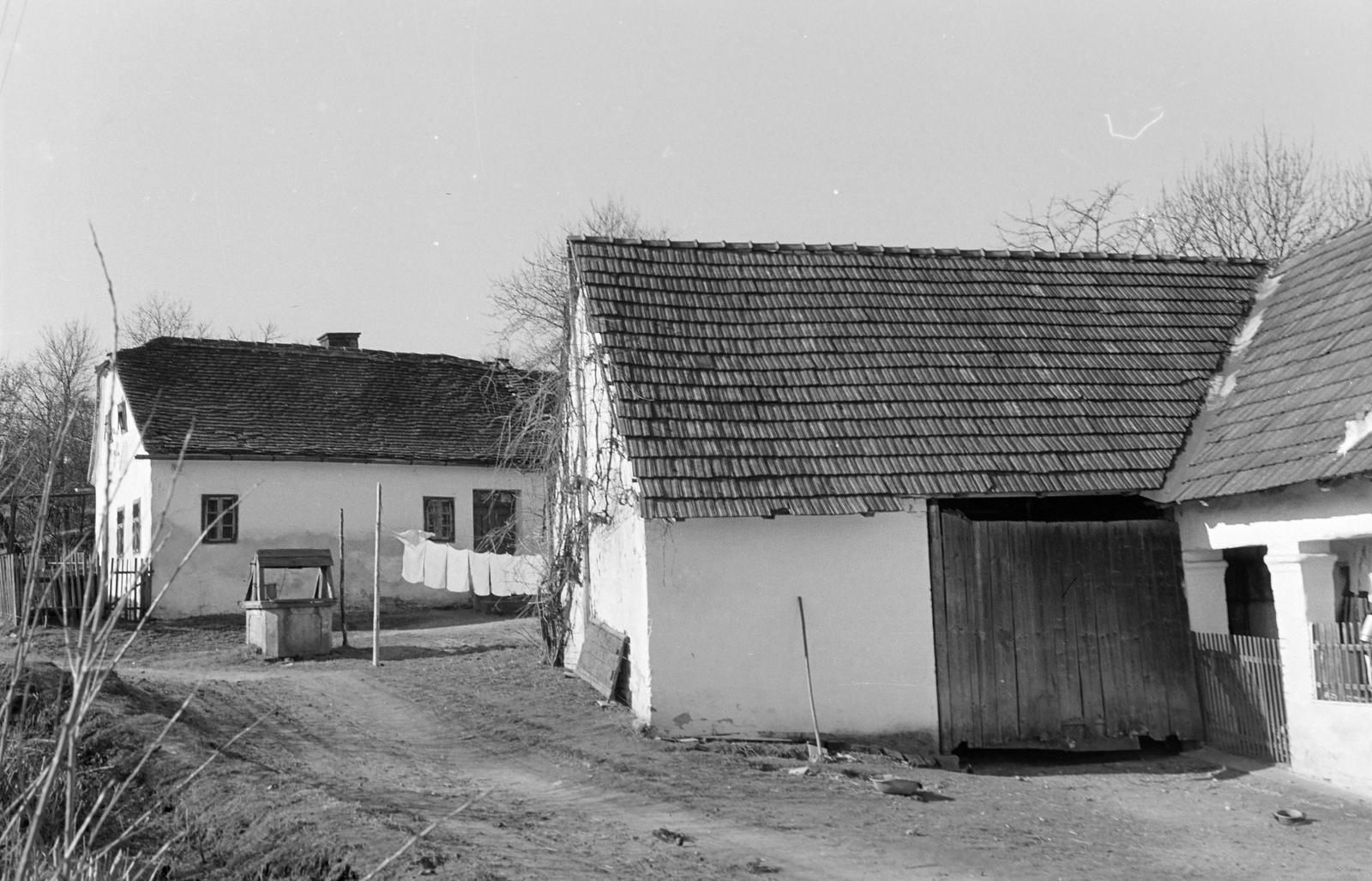 Hungary, 1965, Gazda Anikó, Fortepan #308148