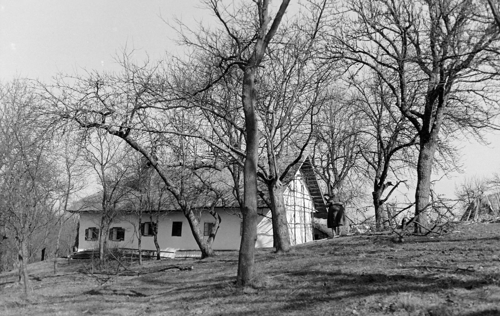 Magyarország, 1965, Gazda Anikó, Fortepan #308151