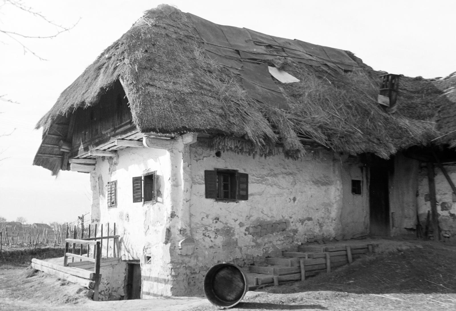 Hungary, 1965, Gazda Anikó, Fortepan #308153