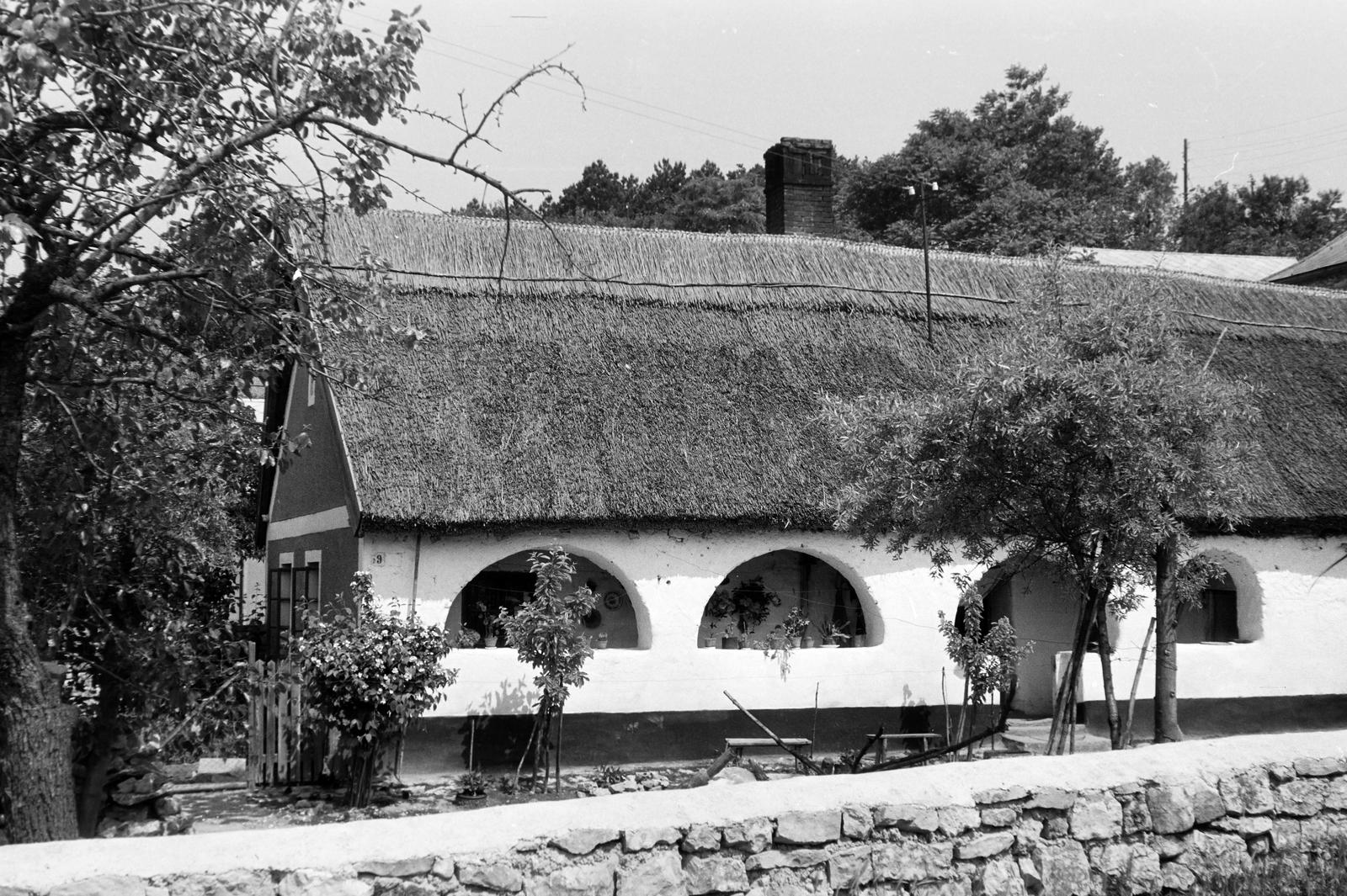 Magyarország, 1976, Gazda Anikó, tornác, népi építészet, nádtető, Fortepan #308156