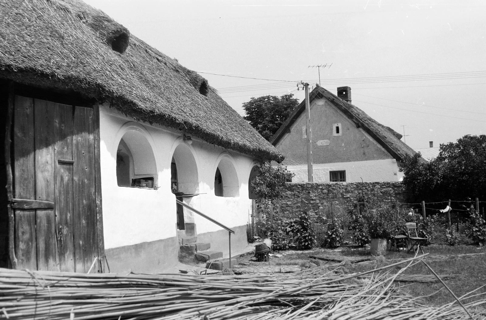 Magyarország, Balatonfüred, előtérben a Siske utca 40. számú ház., 1983, Gazda Anikó, Fortepan #308158