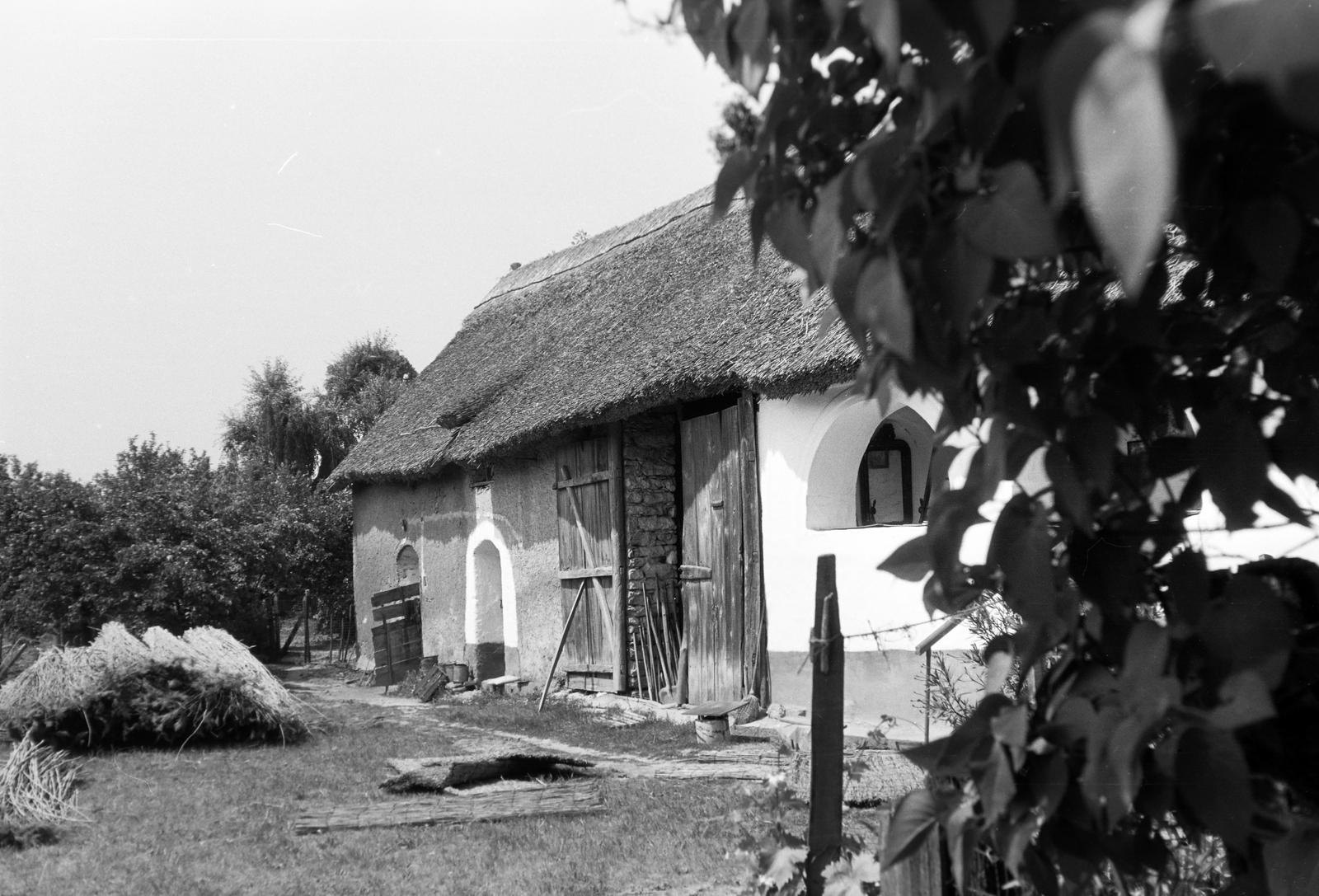 Magyarország, 1976, Gazda Anikó, Fortepan #308159