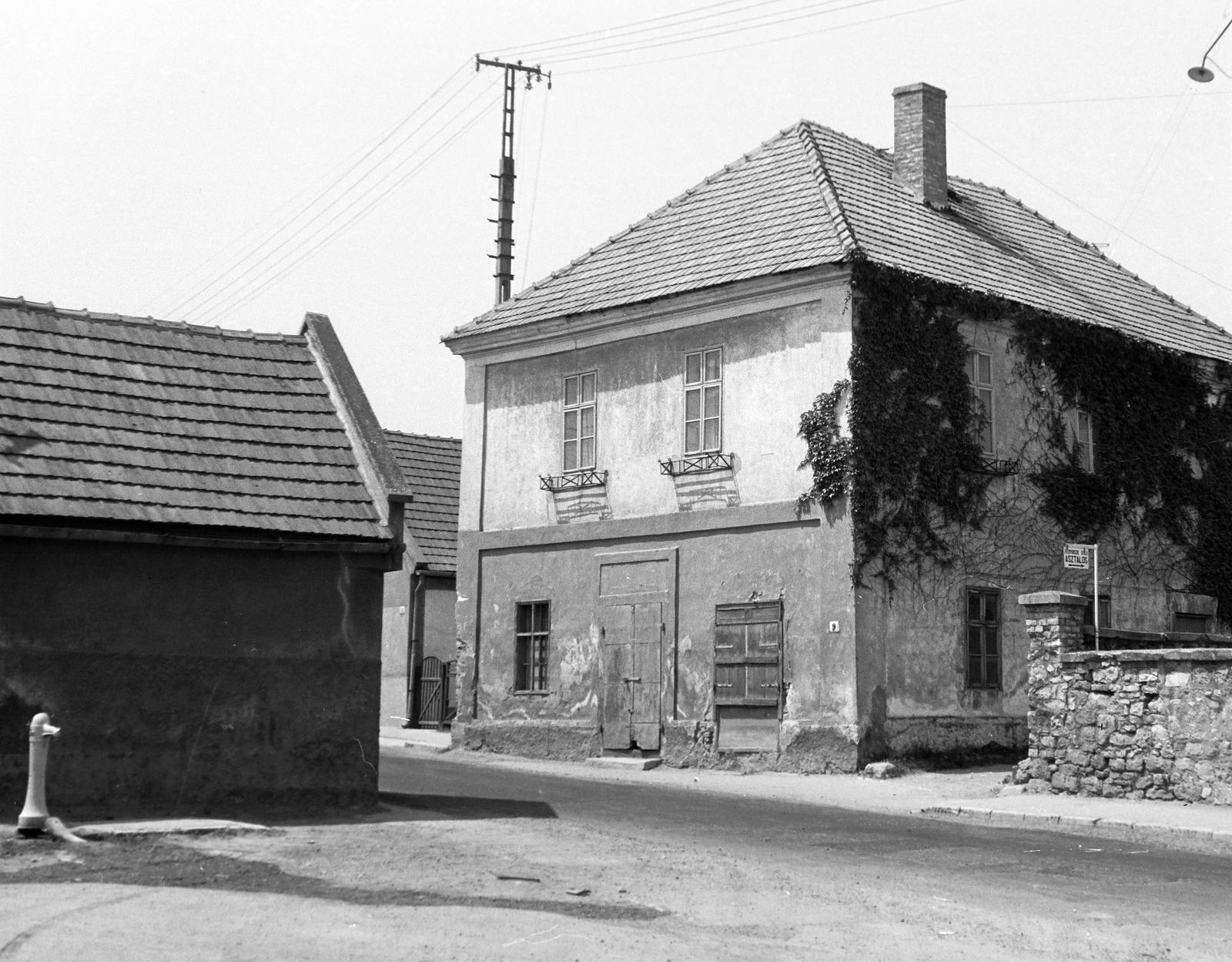 Magyarország, Balatonfüred, előtérben az Udvar köz torkolata, szemben a Siske utca 9. számú ház., 1976, Gazda Anikó, lakóház, közkút, Fortepan #308164