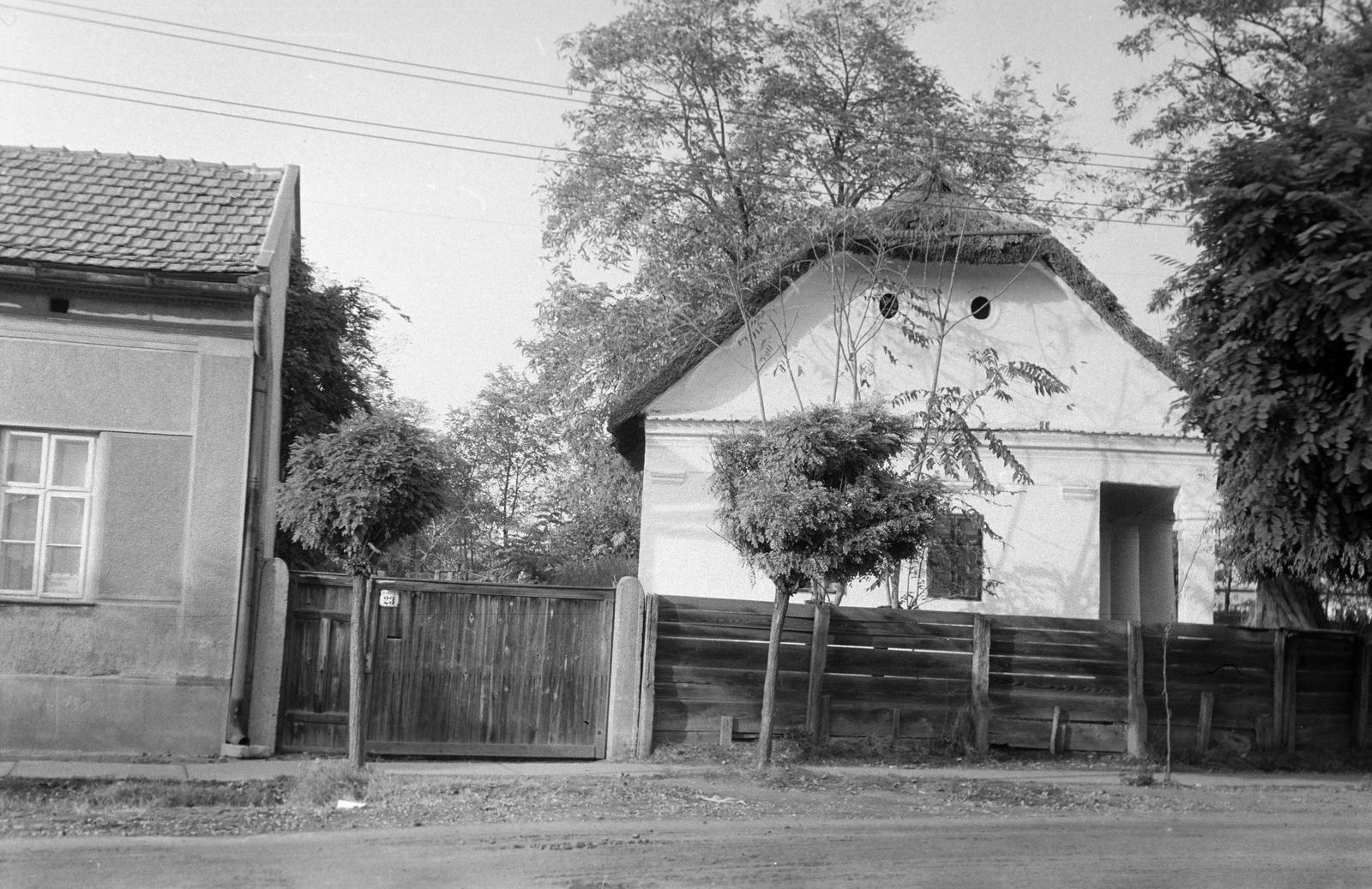 Hungary, 1972, Gazda Anikó, Fortepan #308172