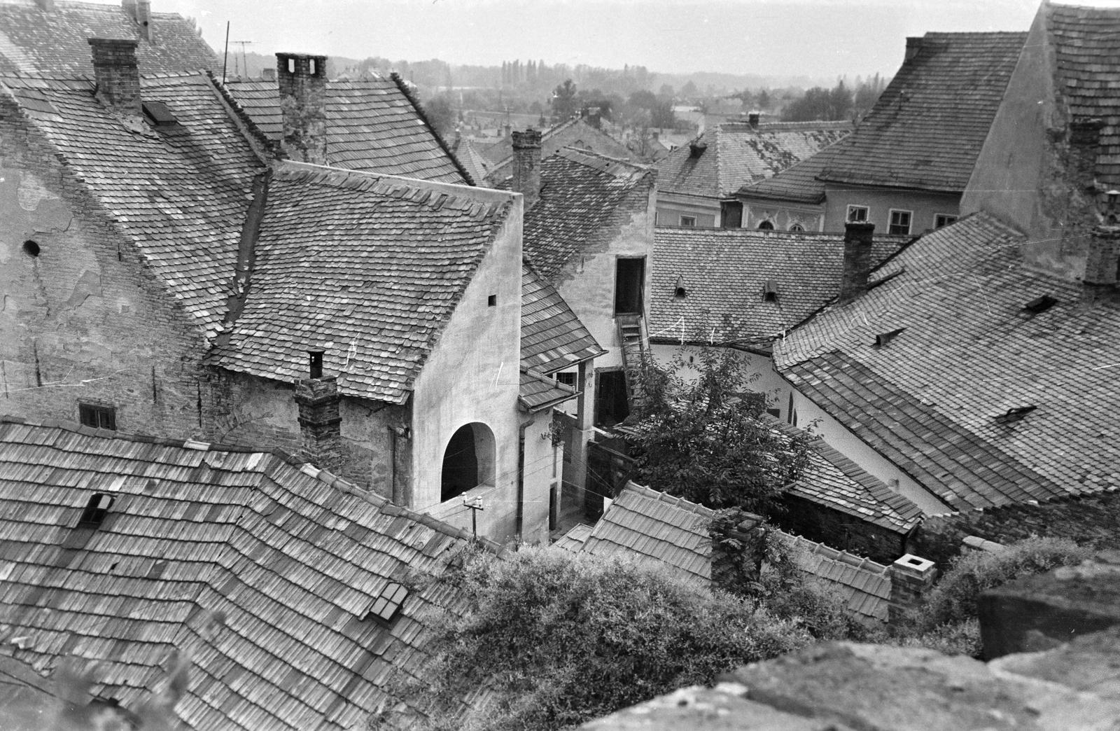 Magyarország, 1977, Gazda Anikó, Fortepan #308182