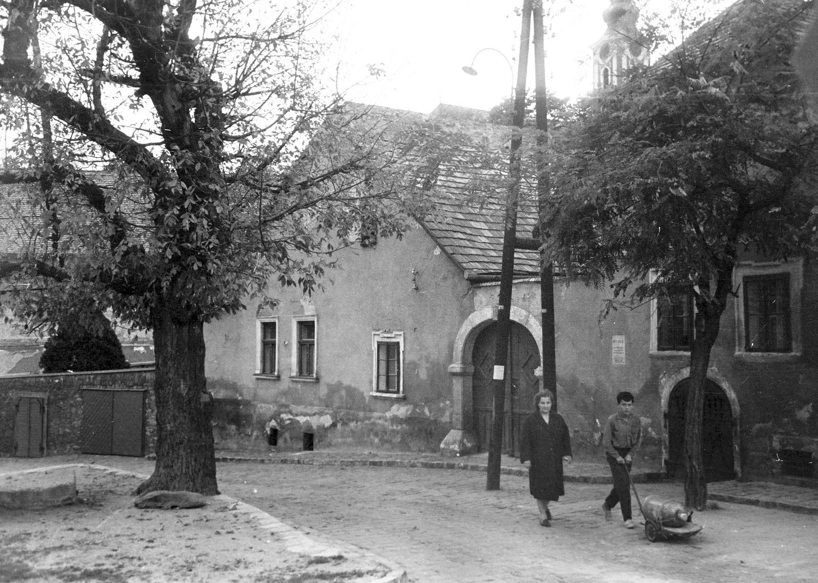 Hungary, 1963, Gazda Anikó, Fortepan #308192