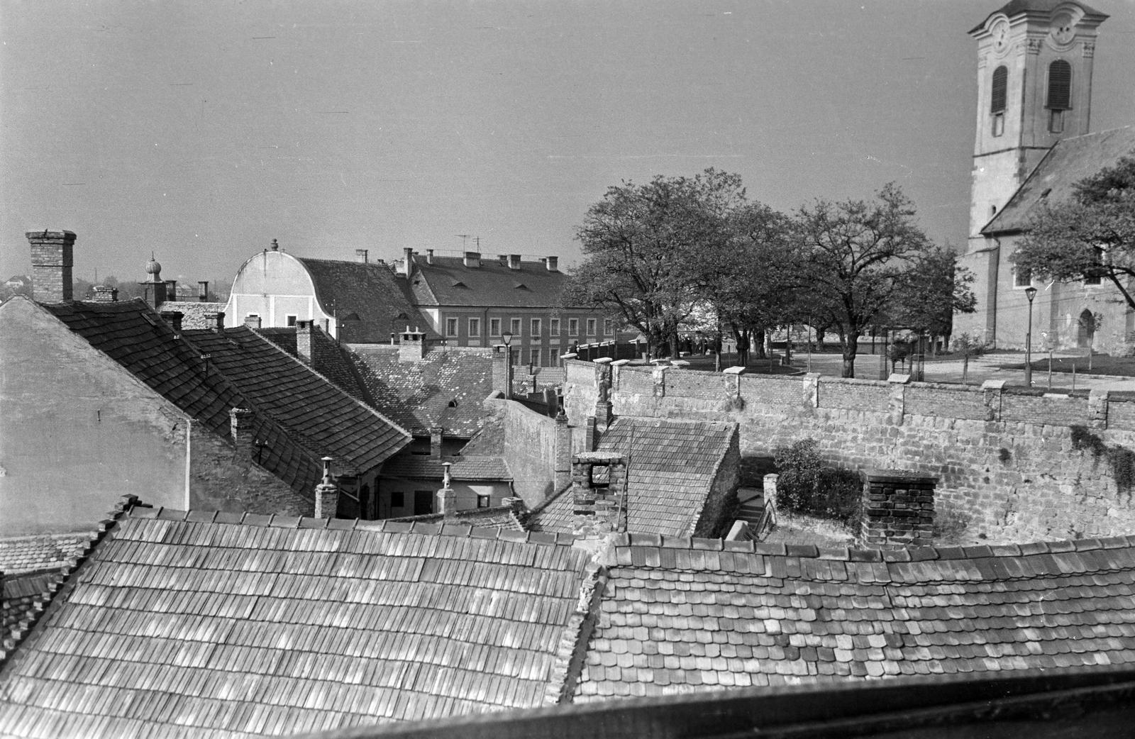 Magyarország, 1963, Gazda Anikó, Fortepan #308199