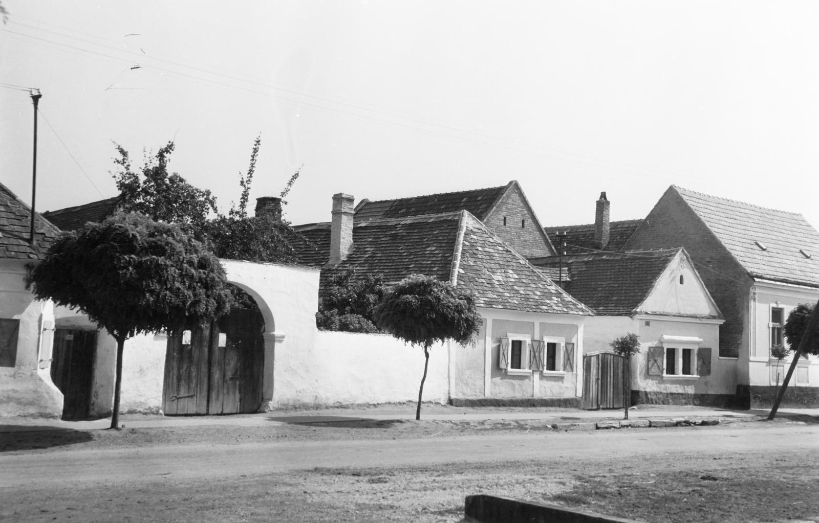 Magyarország, 1960, Gazda Anikó, lakóház, boltív, akácfa, Fortepan #308205
