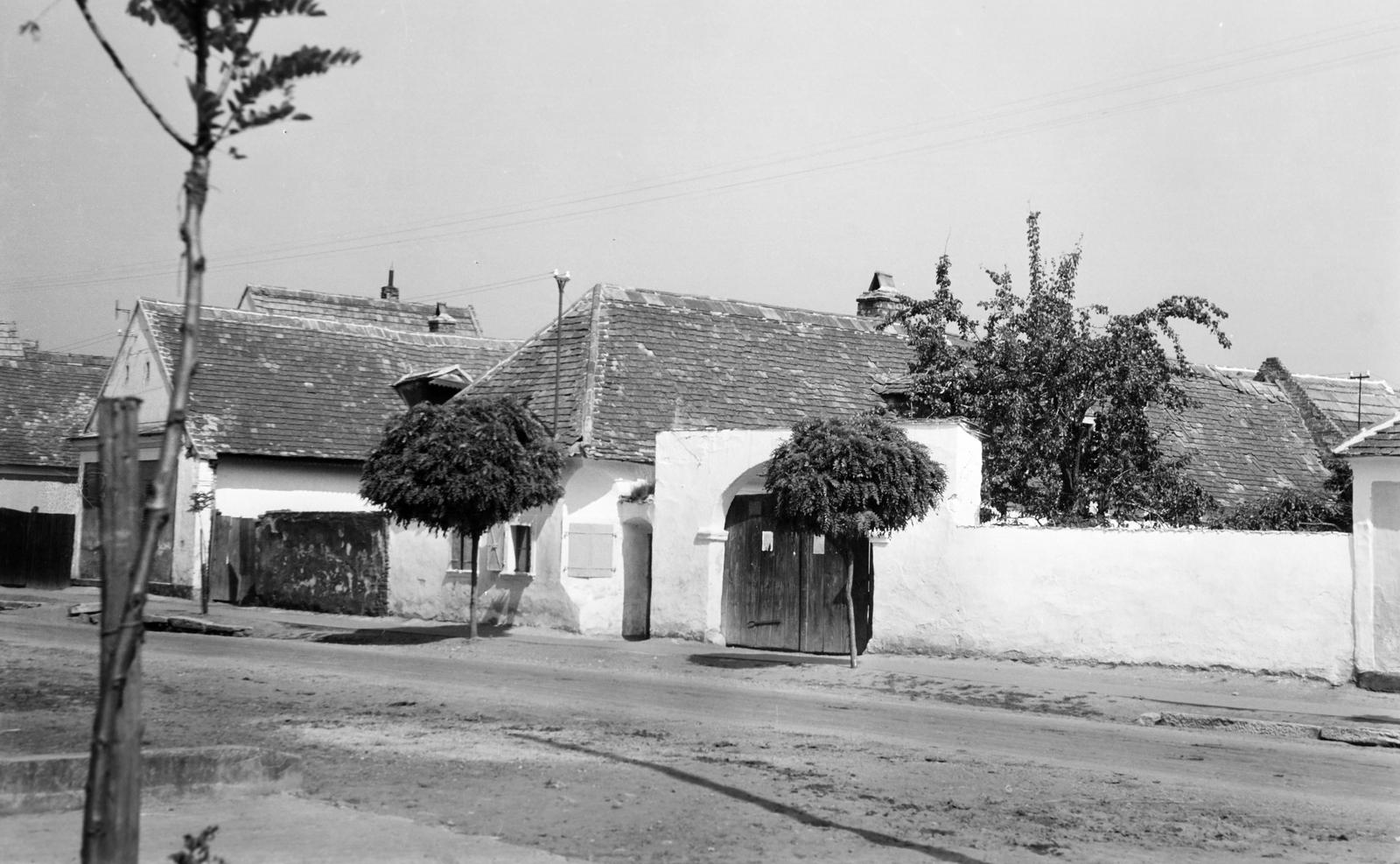 Magyarország, 1960, Gazda Anikó, Fortepan #308206