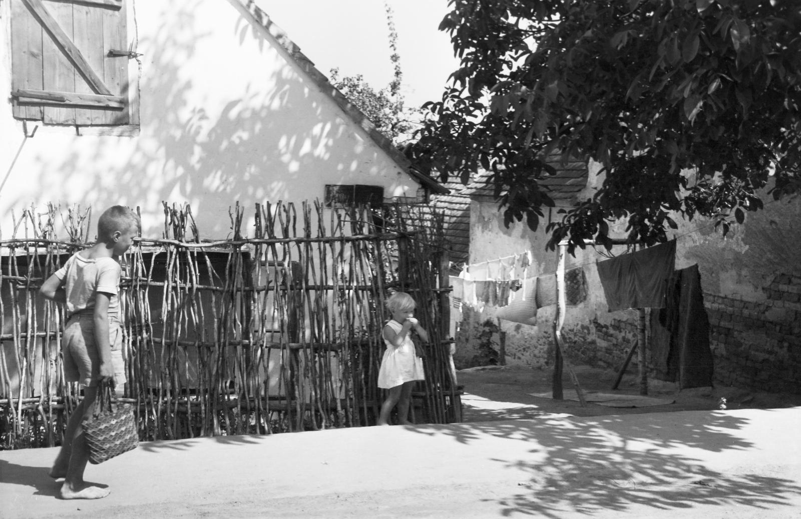 Magyarország, 1960, Gazda Anikó, gyerekek, gallykerítés, ruhaszárító, Fortepan #308207