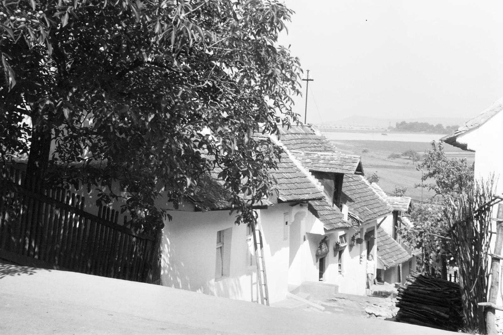 Magyarország, 1960, Gazda Anikó, Fortepan #308208