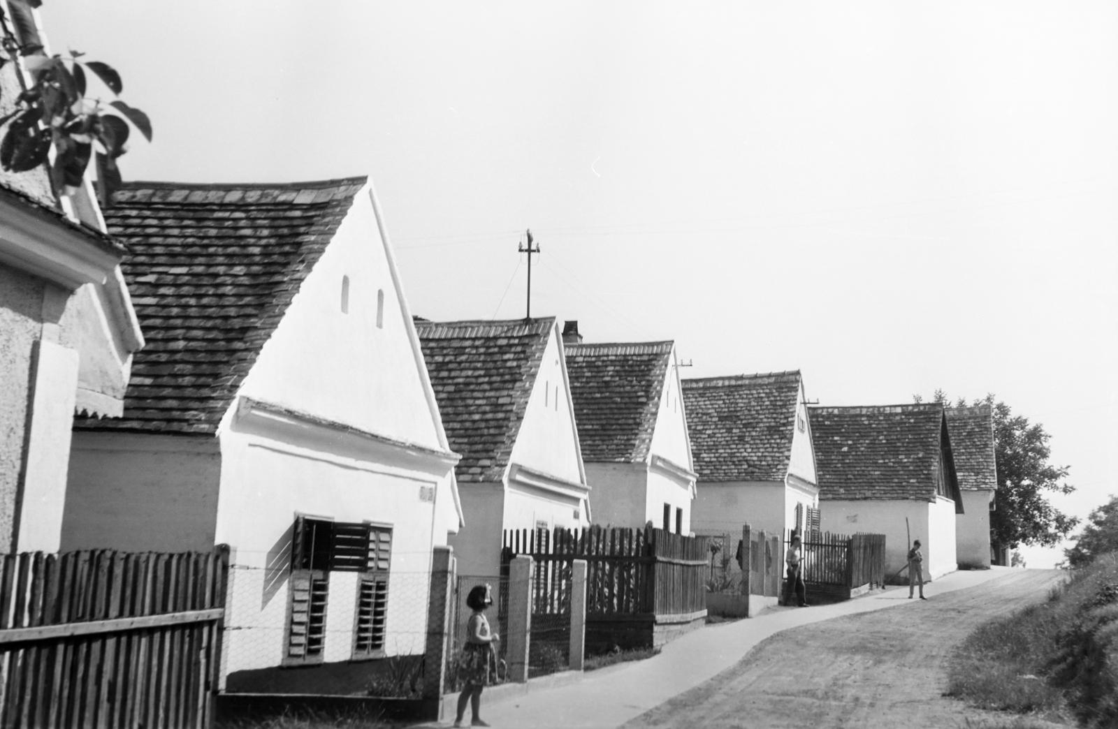 Magyarország, 1960, Gazda Anikó, Fortepan #308209