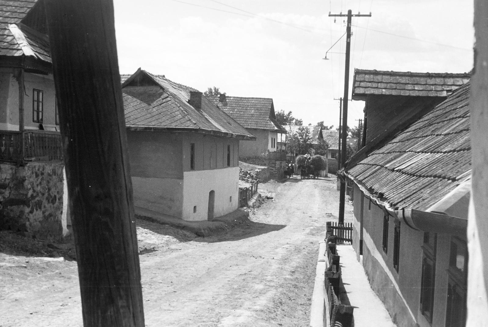 Hungary, 1963, Gazda Anikó, Fortepan #308265