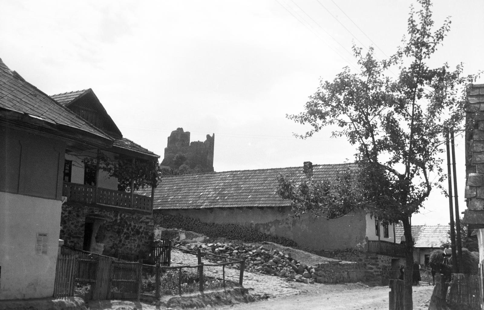 Hungary, 1963, Gazda Anikó, Fortepan #308266