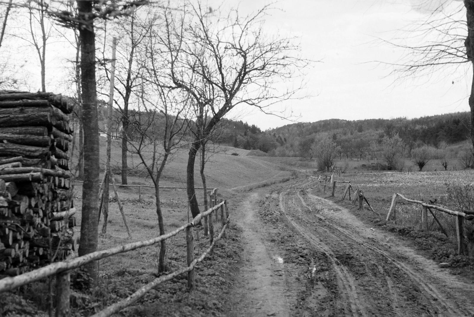 Hungary, 1961, Gazda Anikó, Fortepan #308279