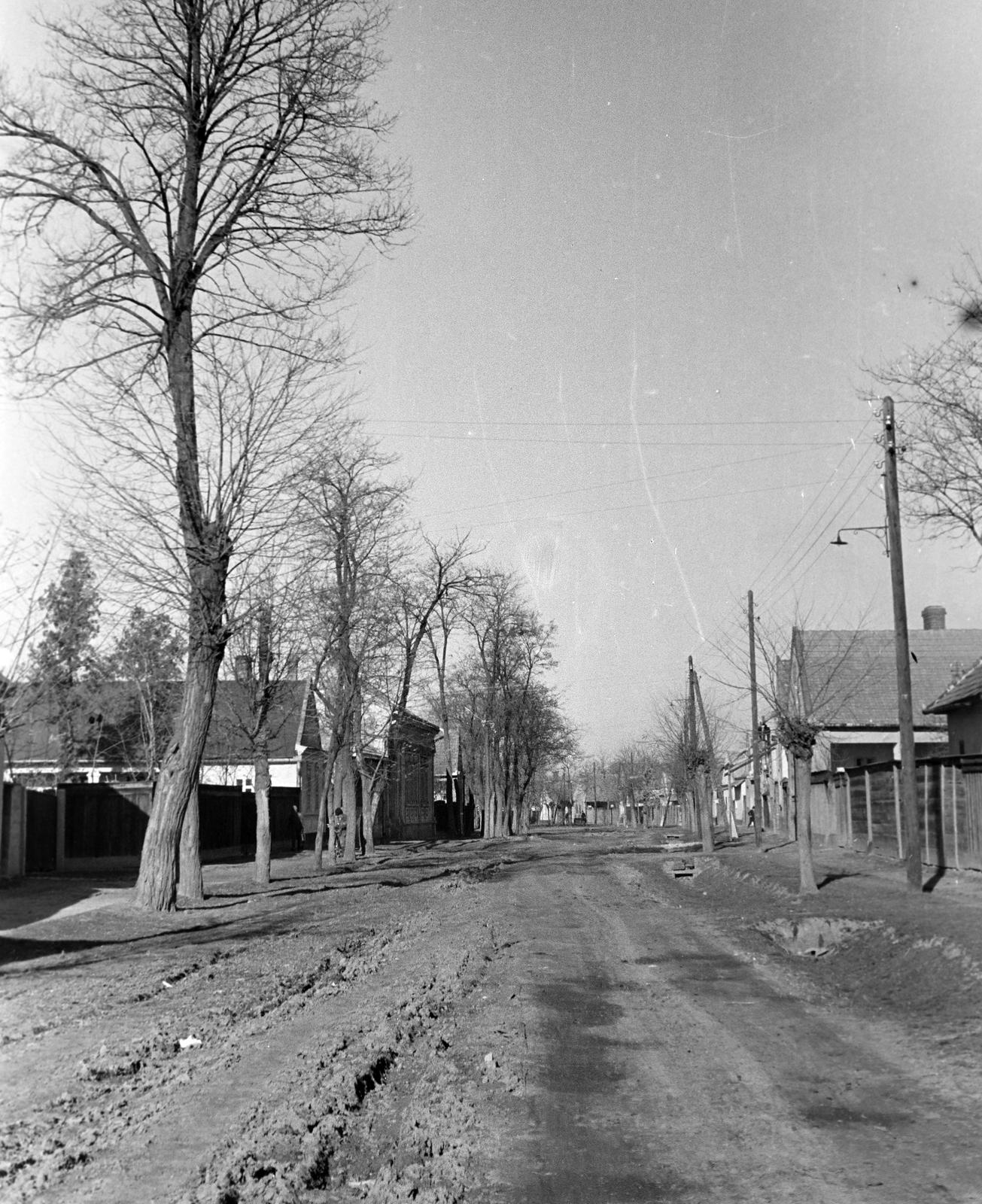 Hungary, 1961, Gazda Anikó, Fortepan #308287