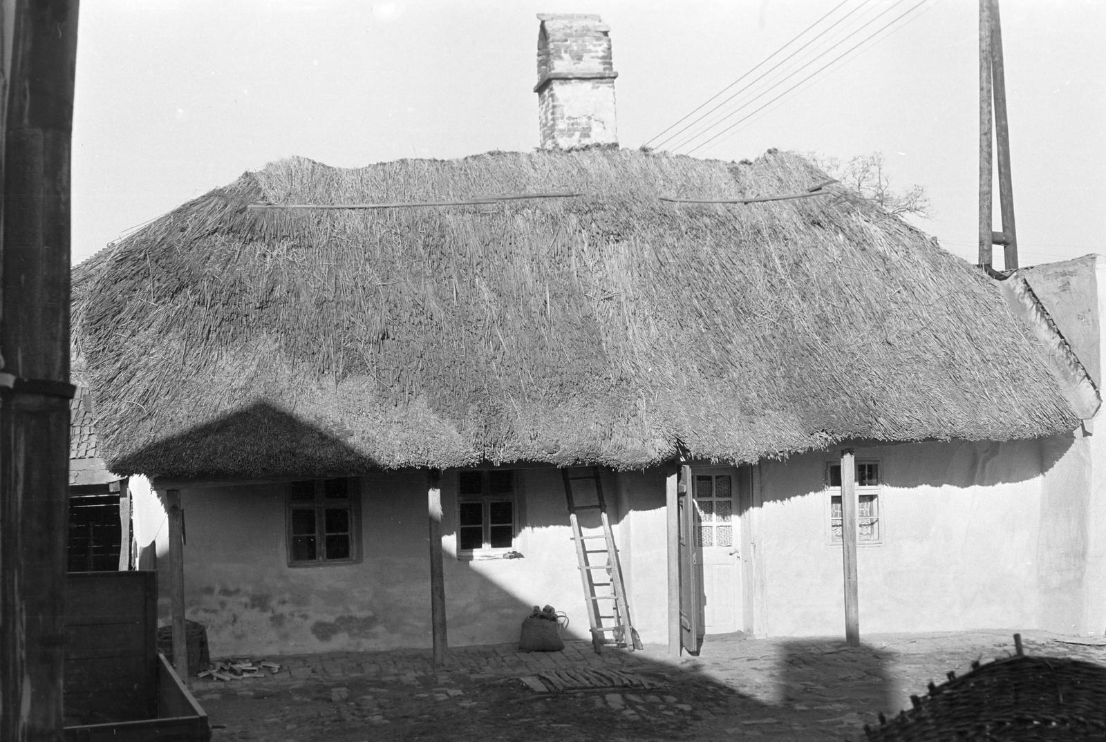 Hungary, 1961, Gazda Anikó, Fortepan #308288