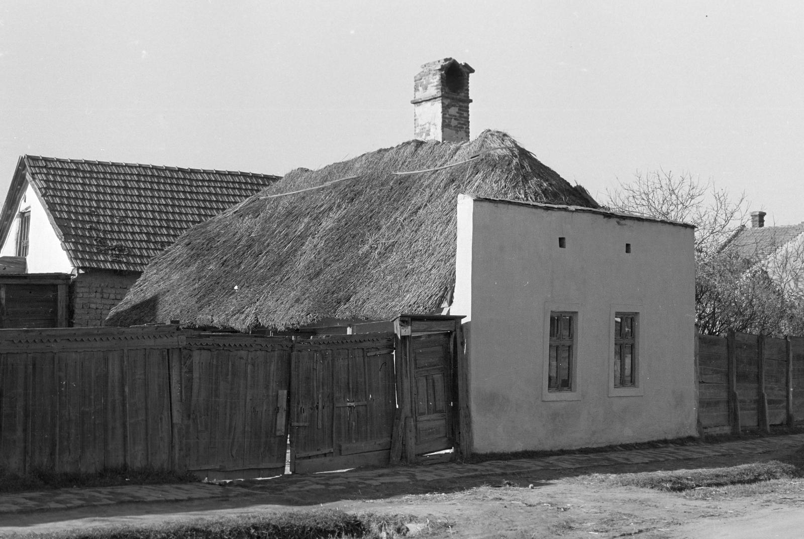 Hungary, 1961, Gazda Anikó, Fortepan #308289