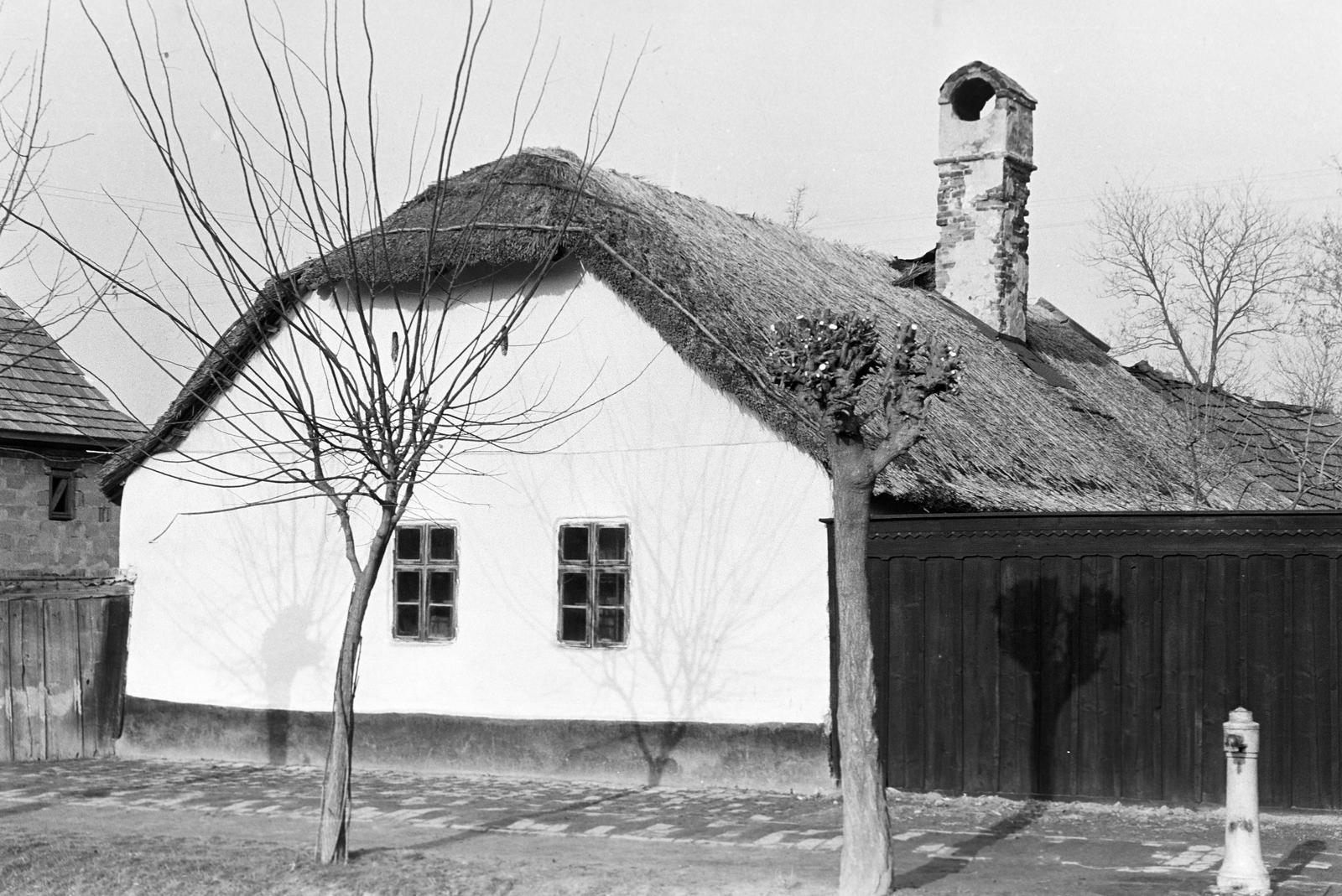 Hungary, 1961, Gazda Anikó, Fortepan #308299