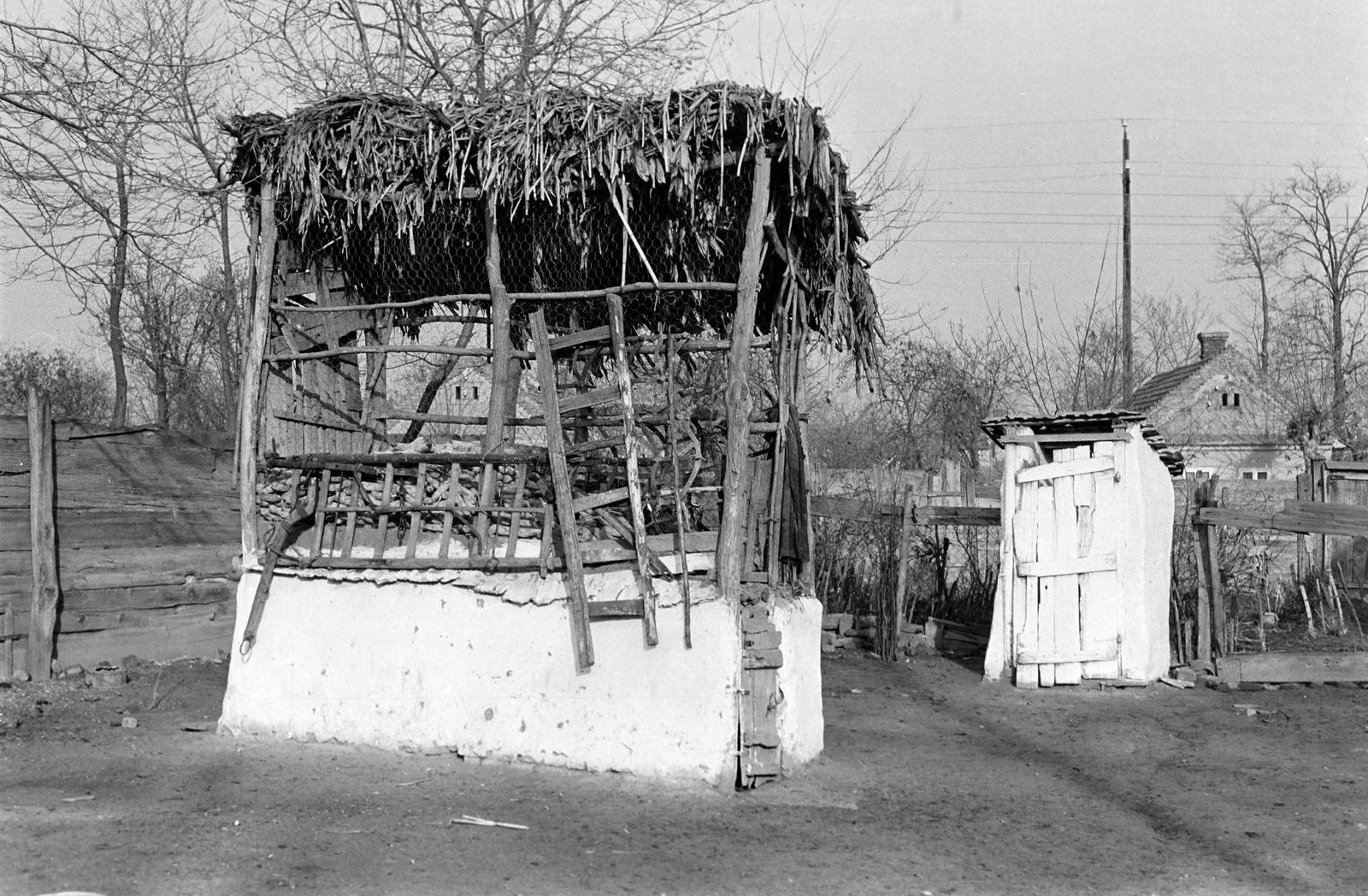 Hungary, 1961, Gazda Anikó, Fortepan #308300