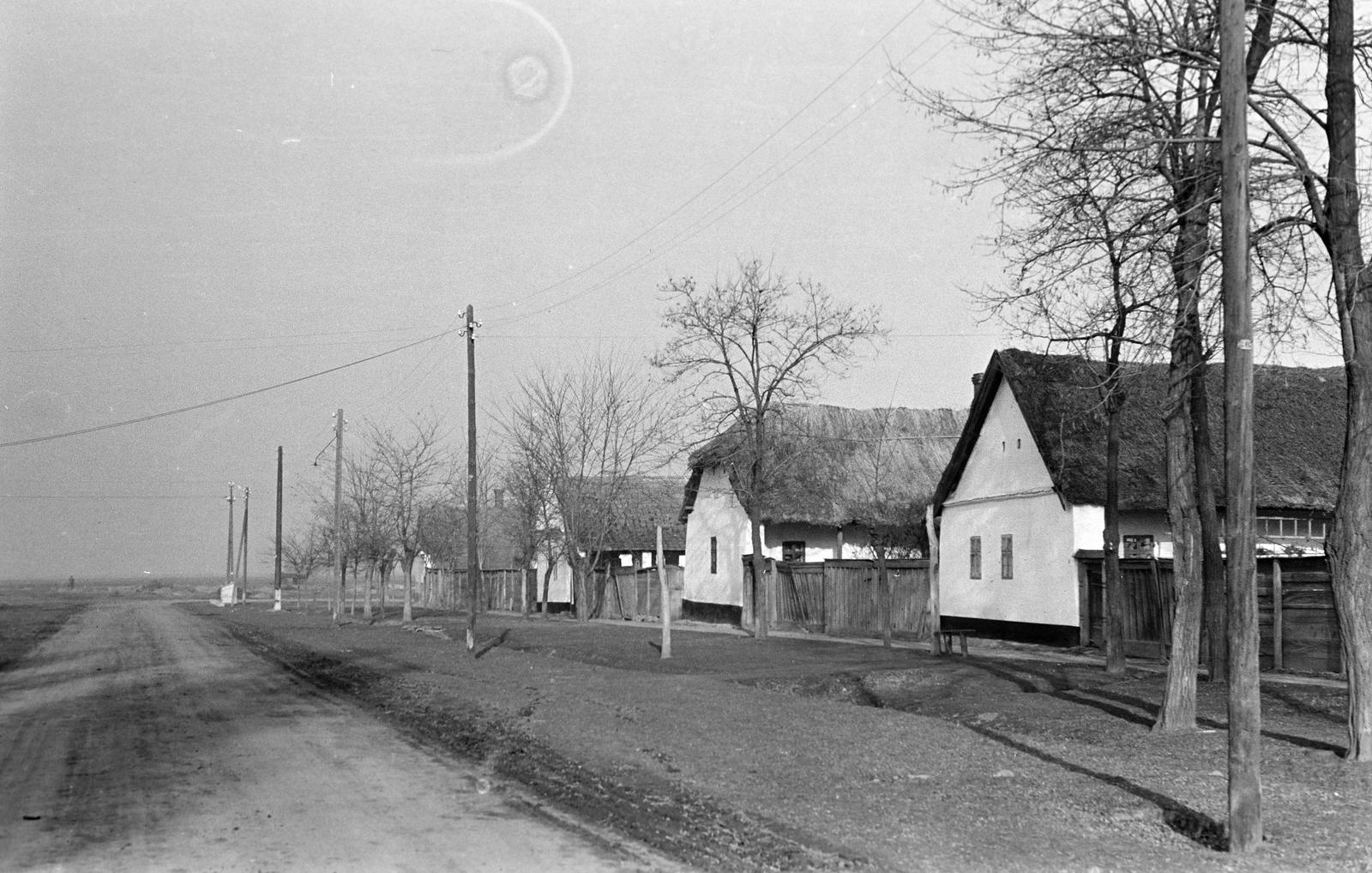 Magyarország, 1961, Gazda Anikó, Fortepan #308301