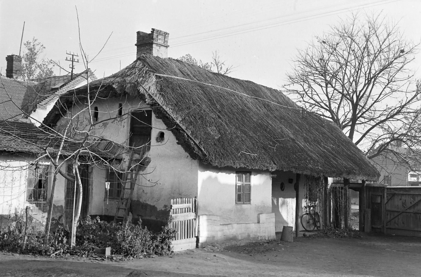 Hungary, 1961, Gazda Anikó, Fortepan #308304