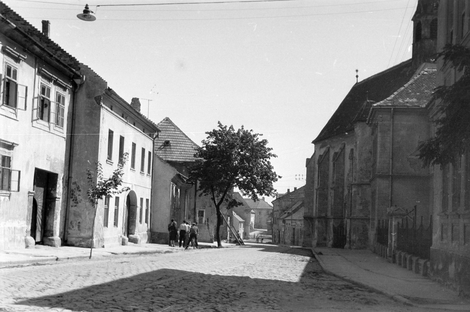 Magyarország, 1956, Gazda Anikó, Fortepan #308309