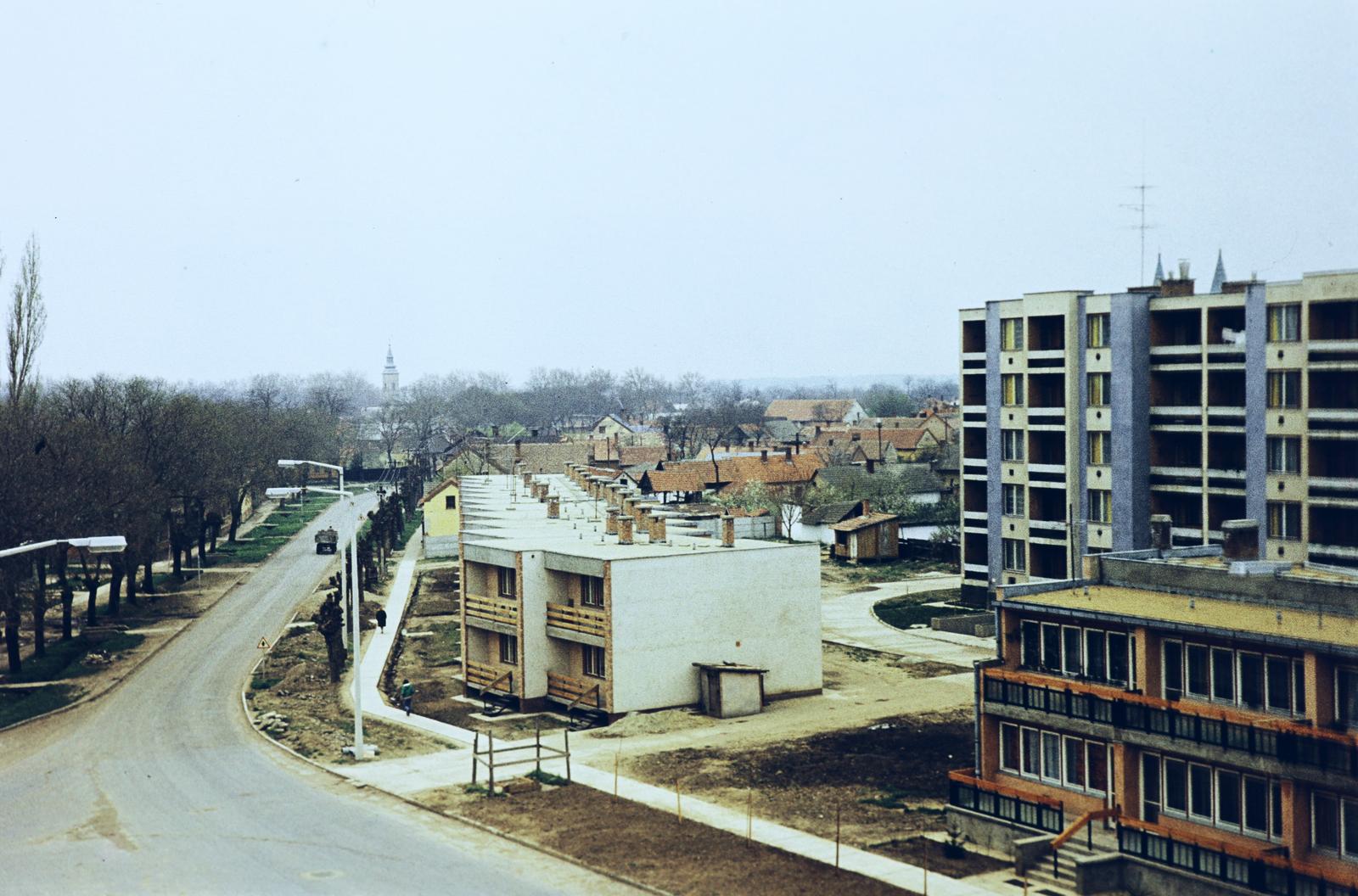 Magyarország, 1975, Gazda Anikó, színes, fasor, lakótelep, Fortepan #308322