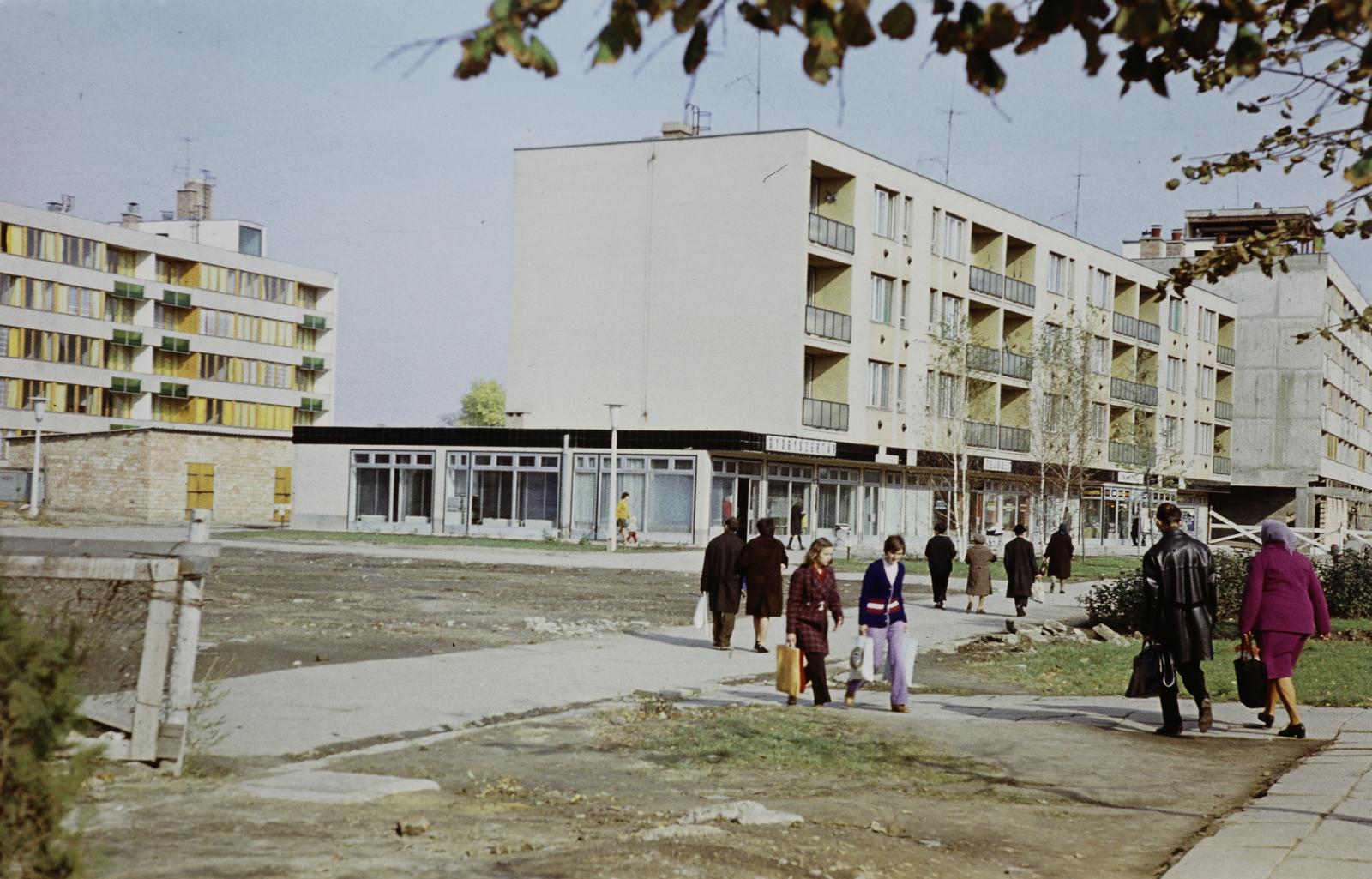 Magyarország, 1976, Gazda Anikó, színes, lakótelep, Fortepan #308329
