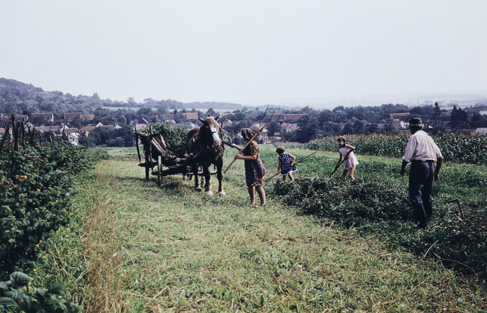 Magyarország, 1972, Gazda Anikó, Fortepan #308334