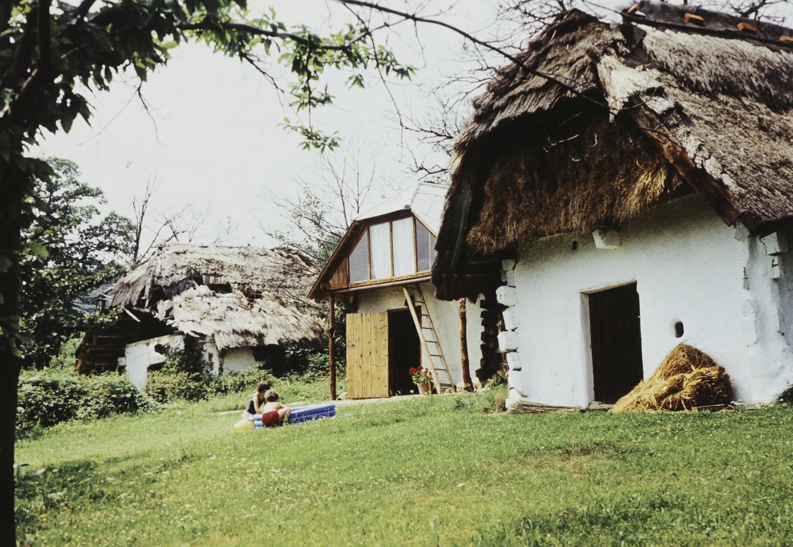 Magyarország, Cák, gesztenyés pincesor., 1977, Gazda Anikó, Fortepan #308335