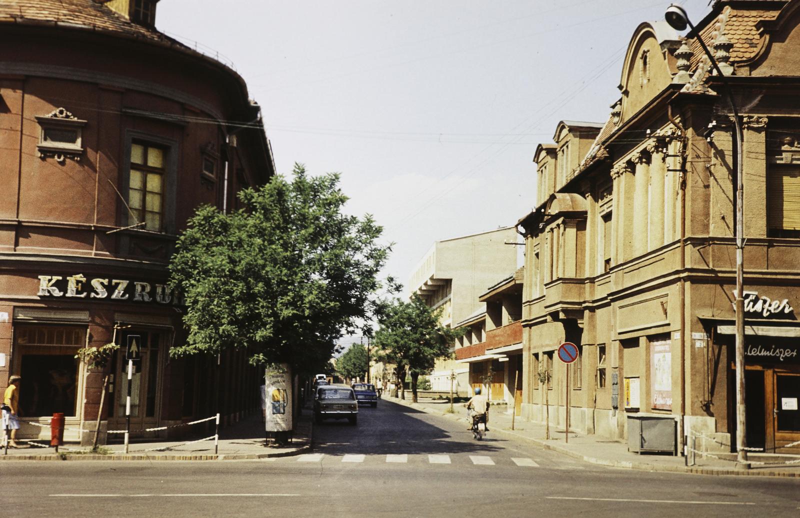 Magyarország, 1977, Gazda Anikó, Fortepan #308336