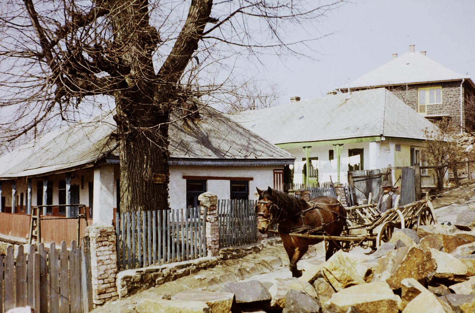 Hungary, Mátraszentimre, Széchenyi István utca., 1977, Gazda Anikó, Fortepan #308344