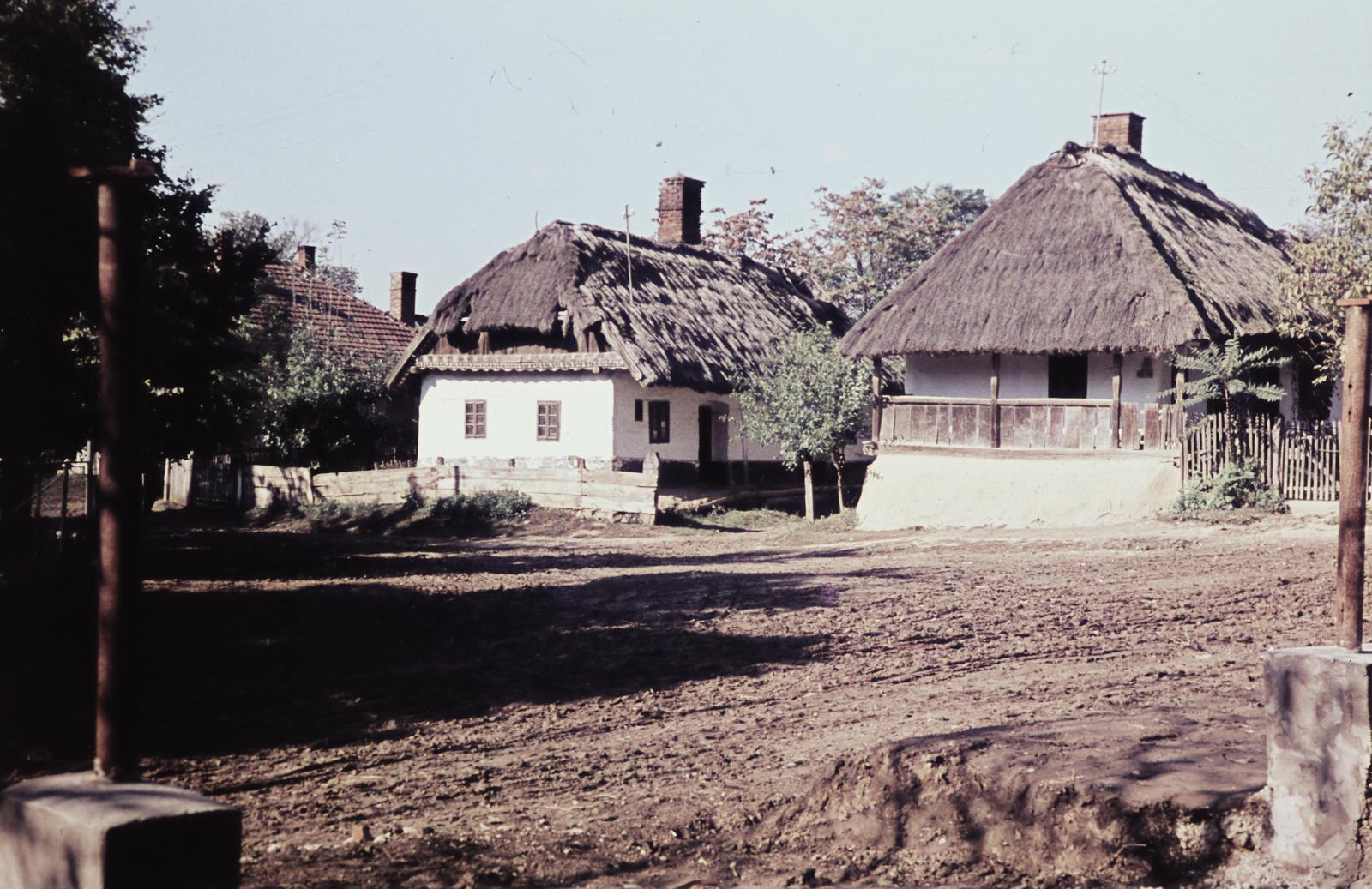 Magyarország, 1963, Gazda Anikó, földút, nádtető, színes, Fortepan #308356
