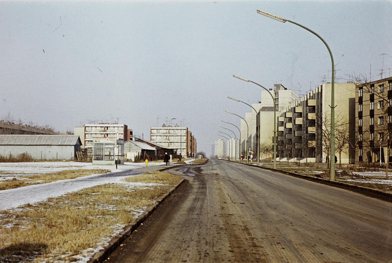 Magyarország, 1972, Gazda Anikó, Fortepan #308362