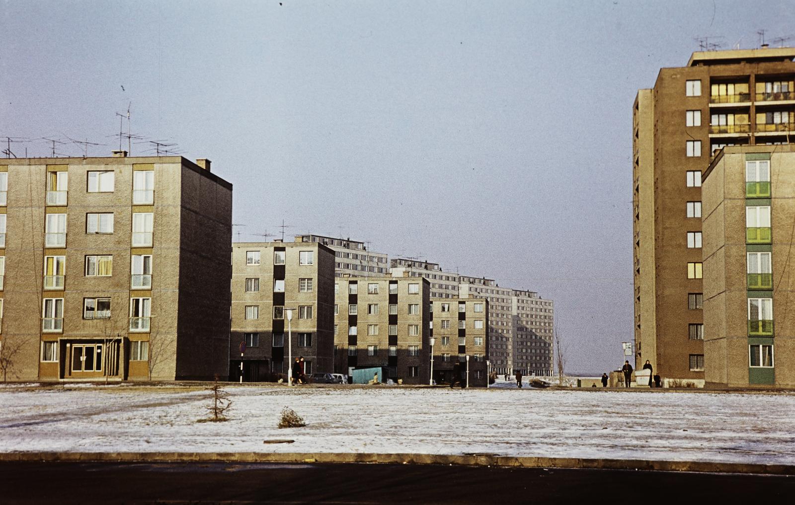 Magyarország, 1972, Gazda Anikó, Fortepan #308363