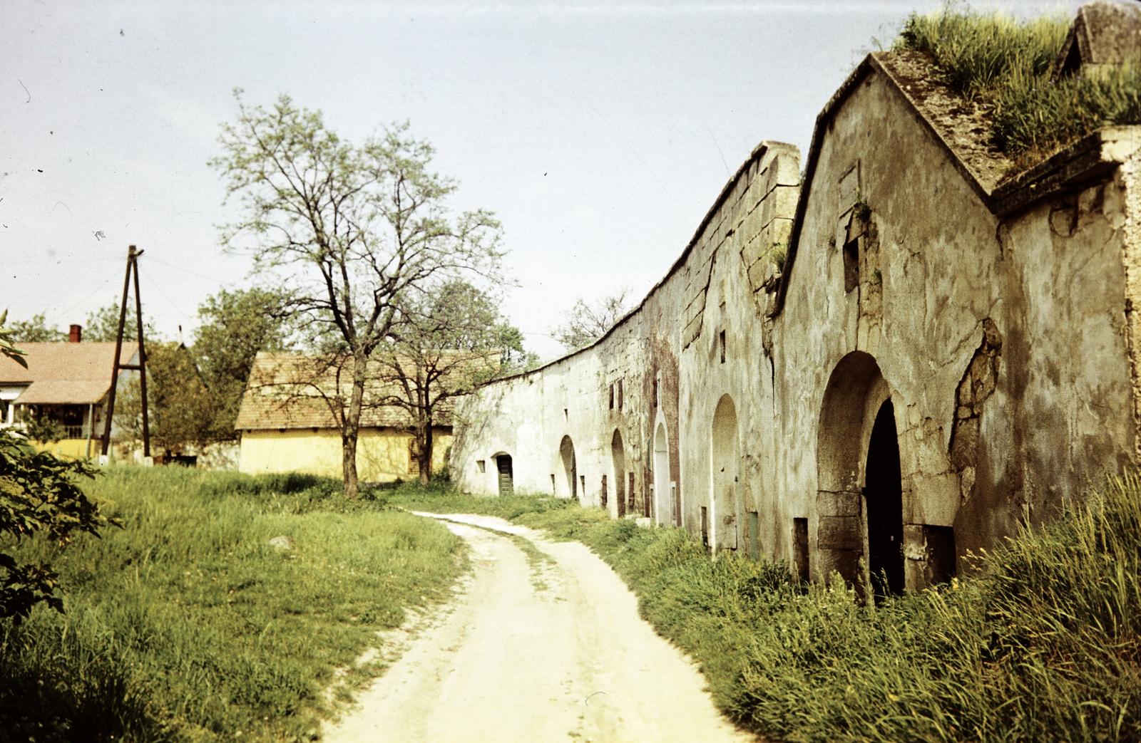 Magyarország, Páty, Pincehegy., 1970, Gazda Anikó, színes, Fortepan #308377