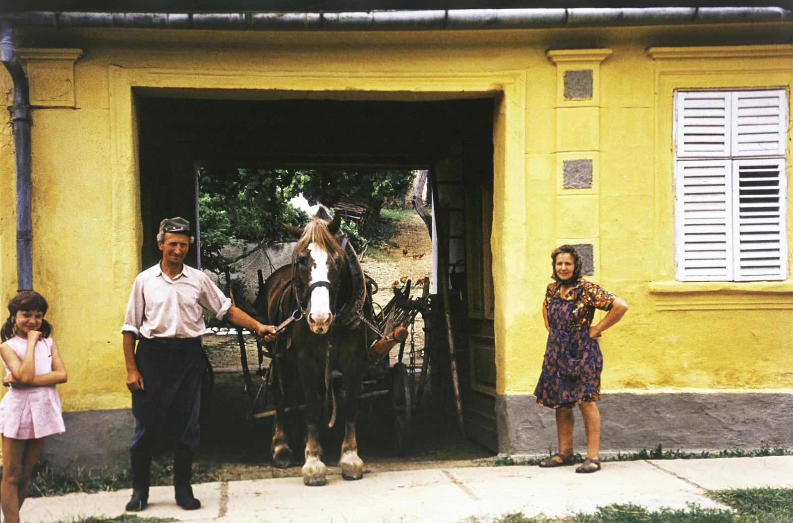 Hungary, 1970, Gazda Anikó, Best of, venetian blind, Horse-drawn carriage, gateway, colorful, family, Fortepan #308379