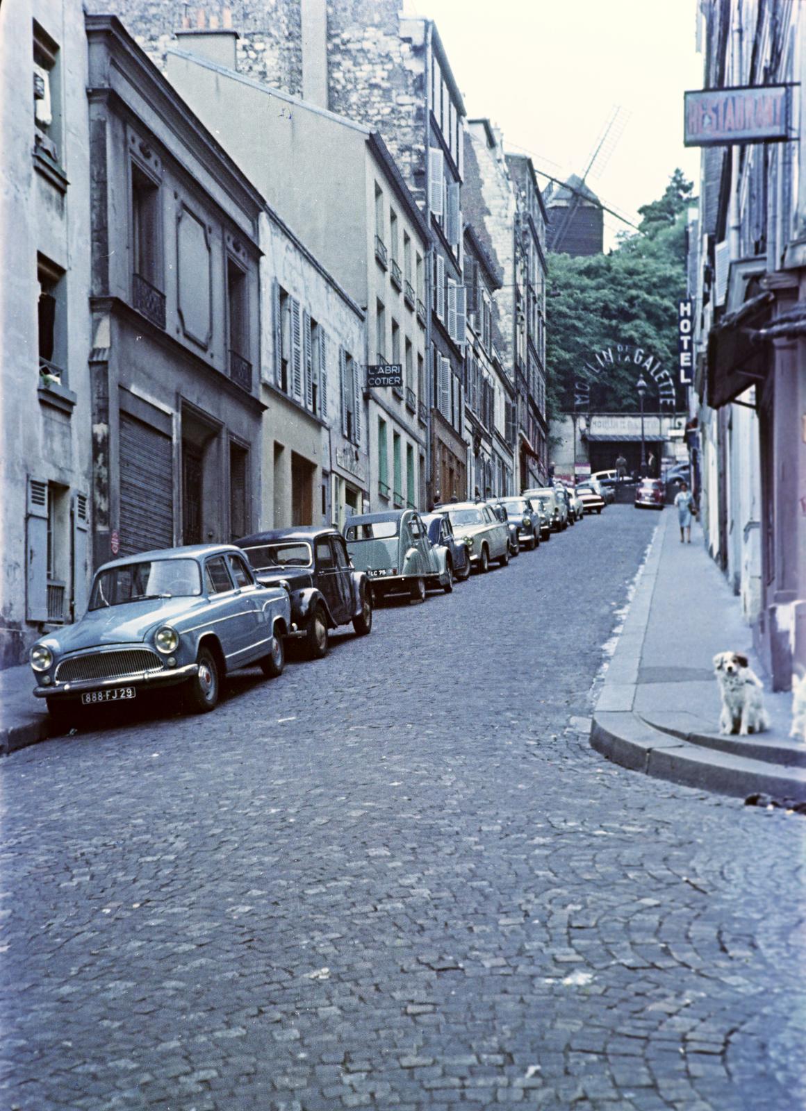 Franciaország, Párizs, Rue Tholozé., 1960, Gazda Anikó, színes, kutya, utcakép, automobil, Fortepan #308388