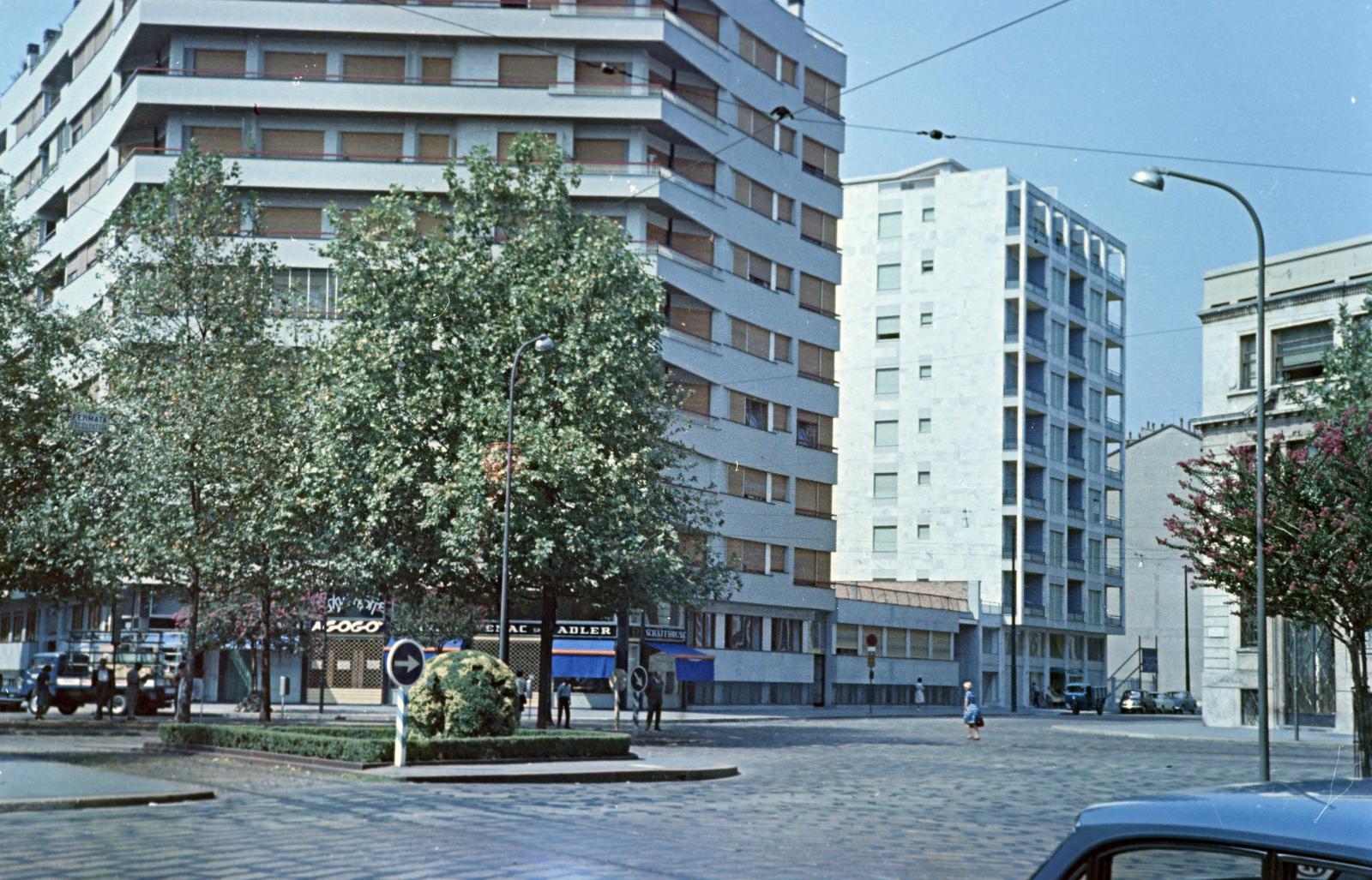 1960, Gazda Anikó, színes, Fortepan #308401