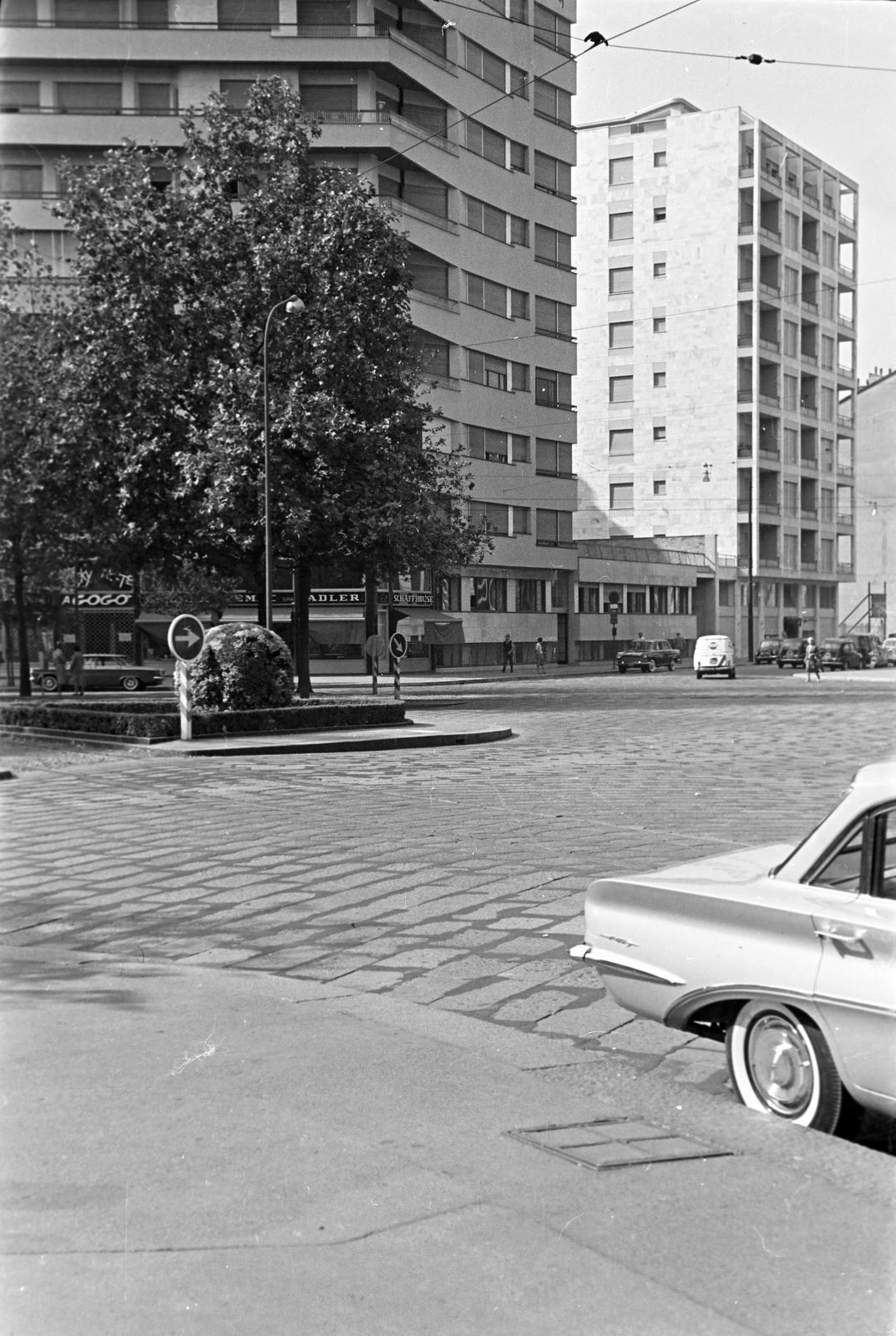 1960, Gazda Anikó, Fortepan #308476