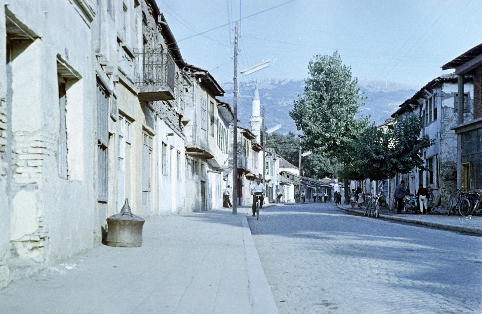 1962, Gazda Anikó, Fortepan #308517