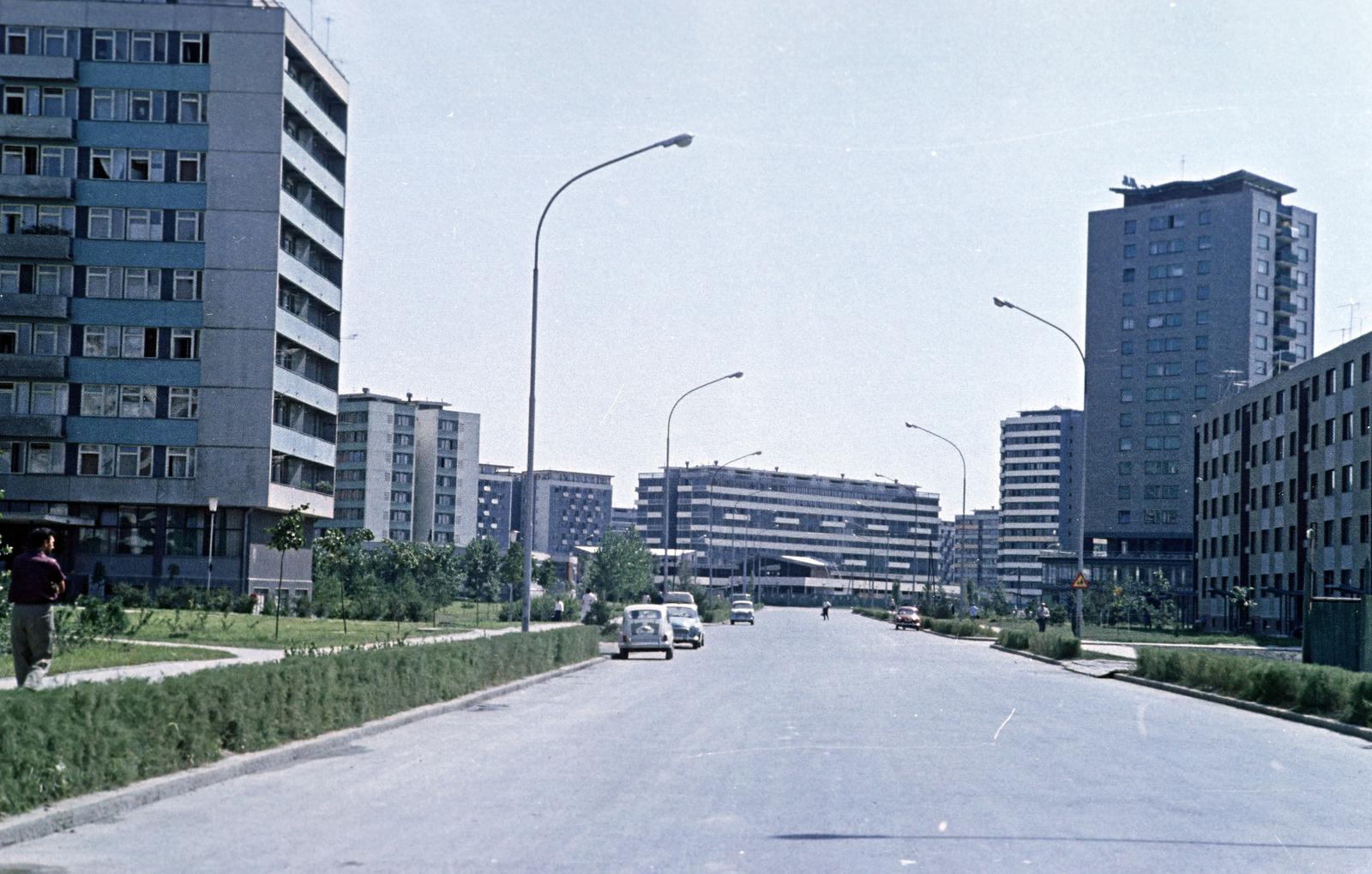 1962, Gazda Anikó, Fortepan #308535