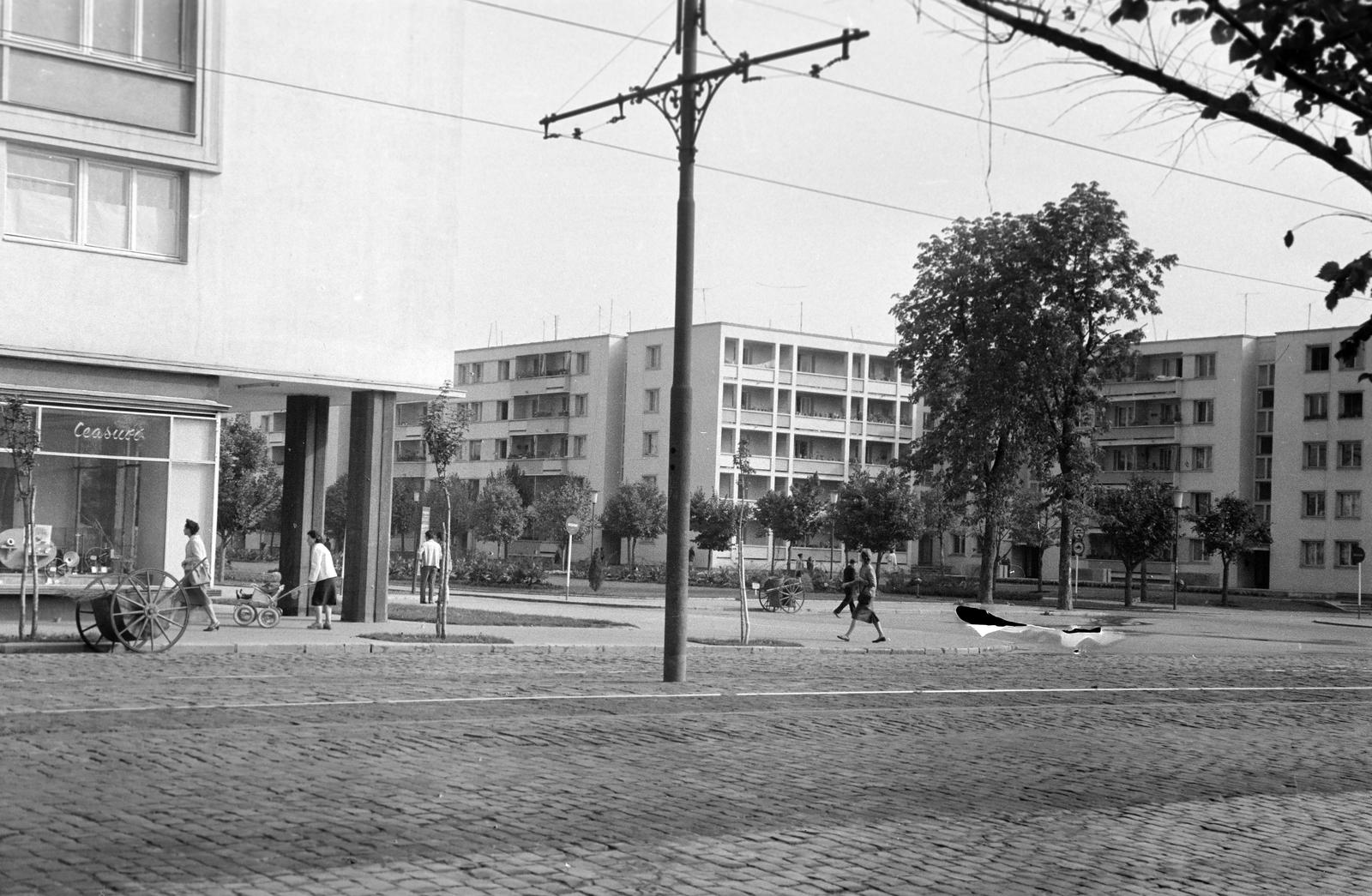 1962, Gazda Anikó, Fortepan #308594