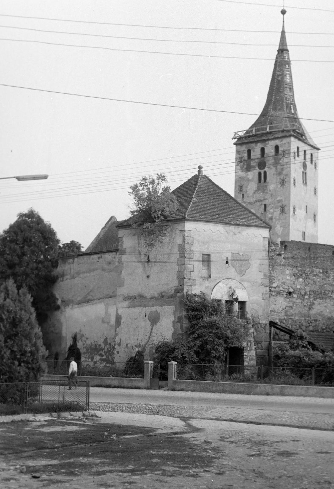 1962, Gazda Anikó, Fortepan #308617