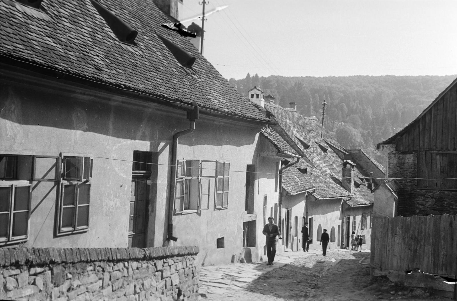 1962, Gazda Anikó, Fortepan #308634