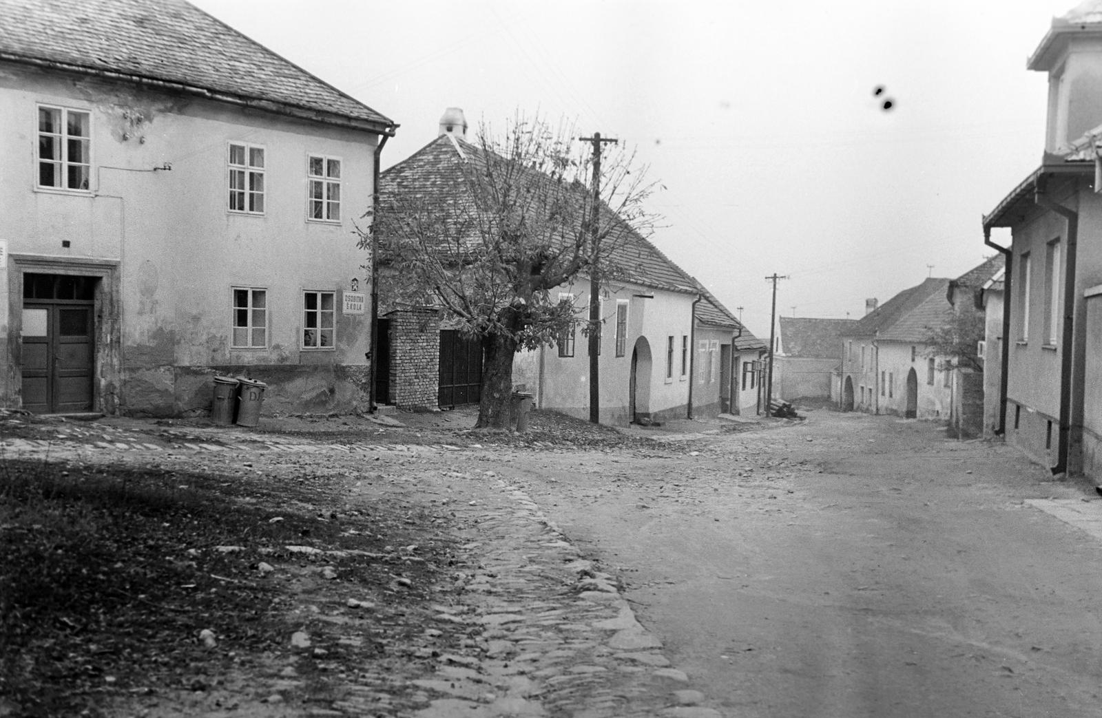 1963, Gazda Anikó, Fortepan #308647