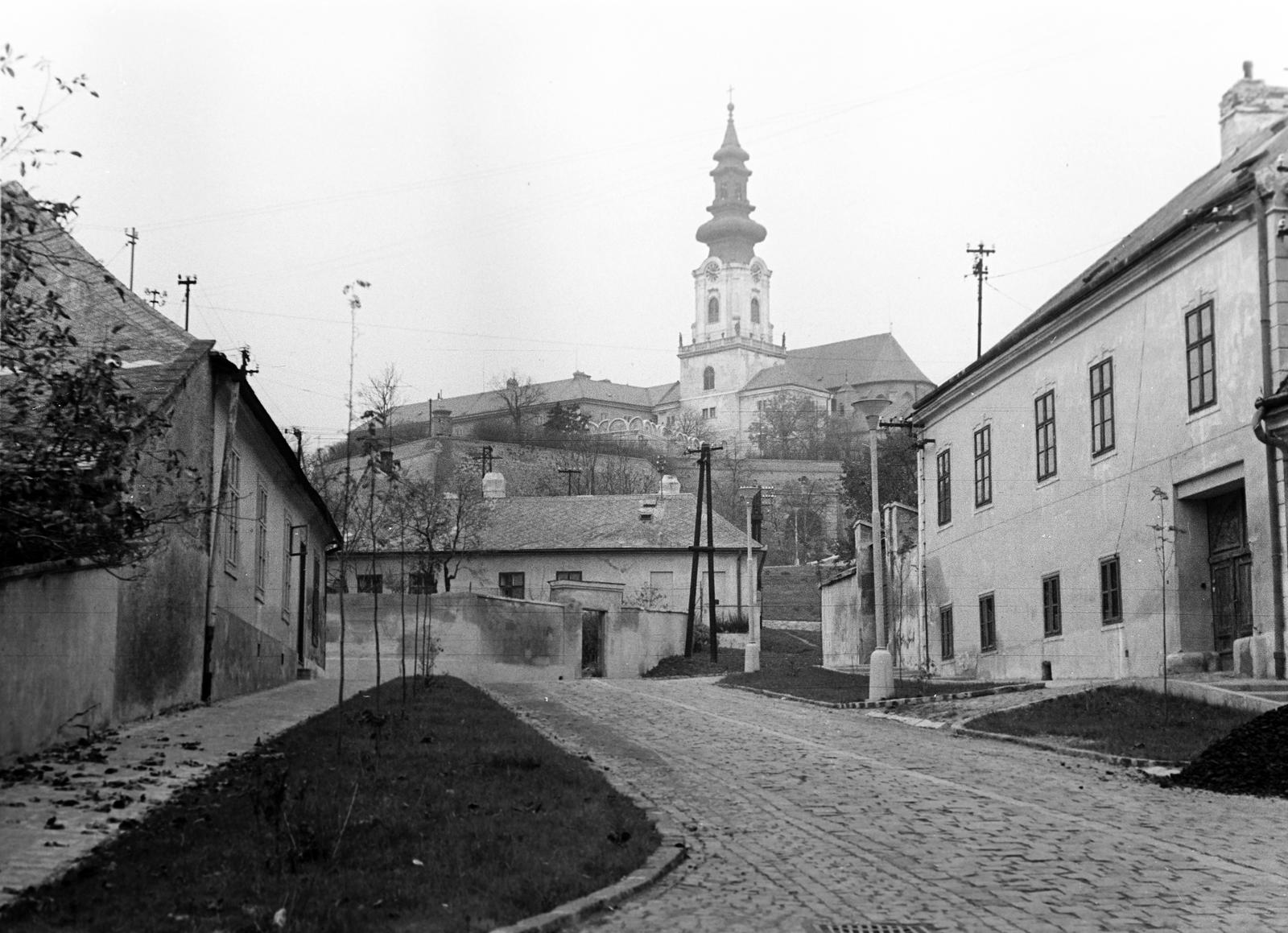 1963, Gazda Anikó, Fortepan #308651