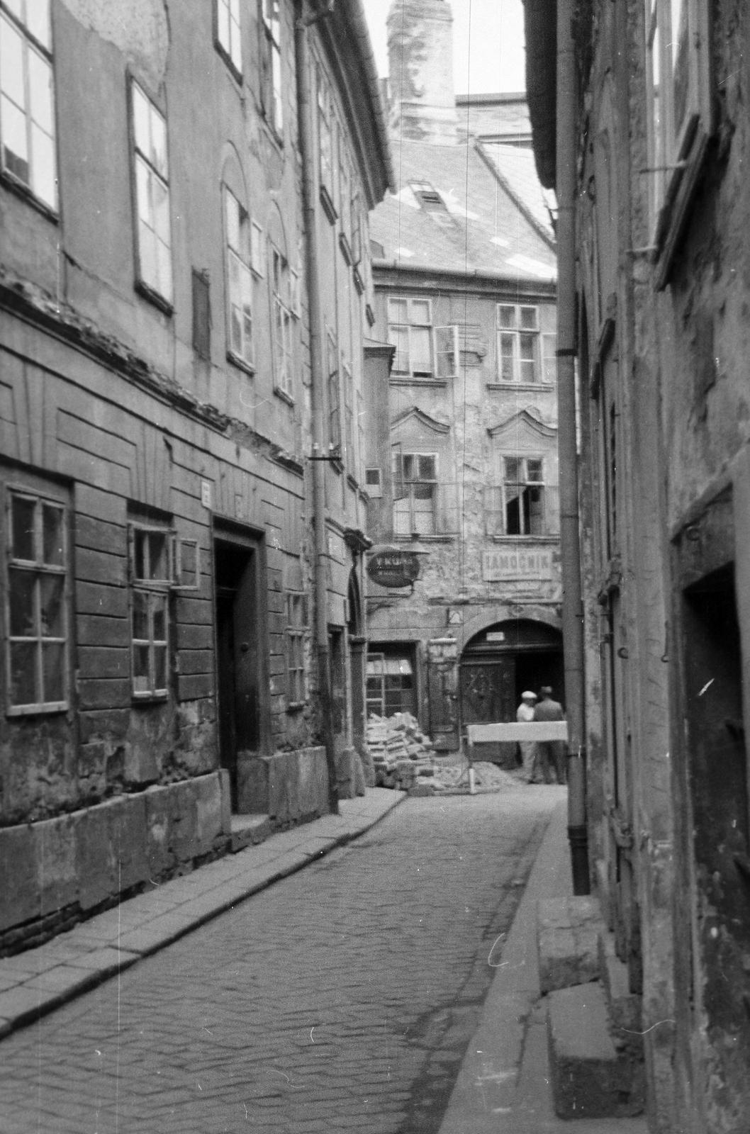 1963, Gazda Anikó, Fortepan #308653